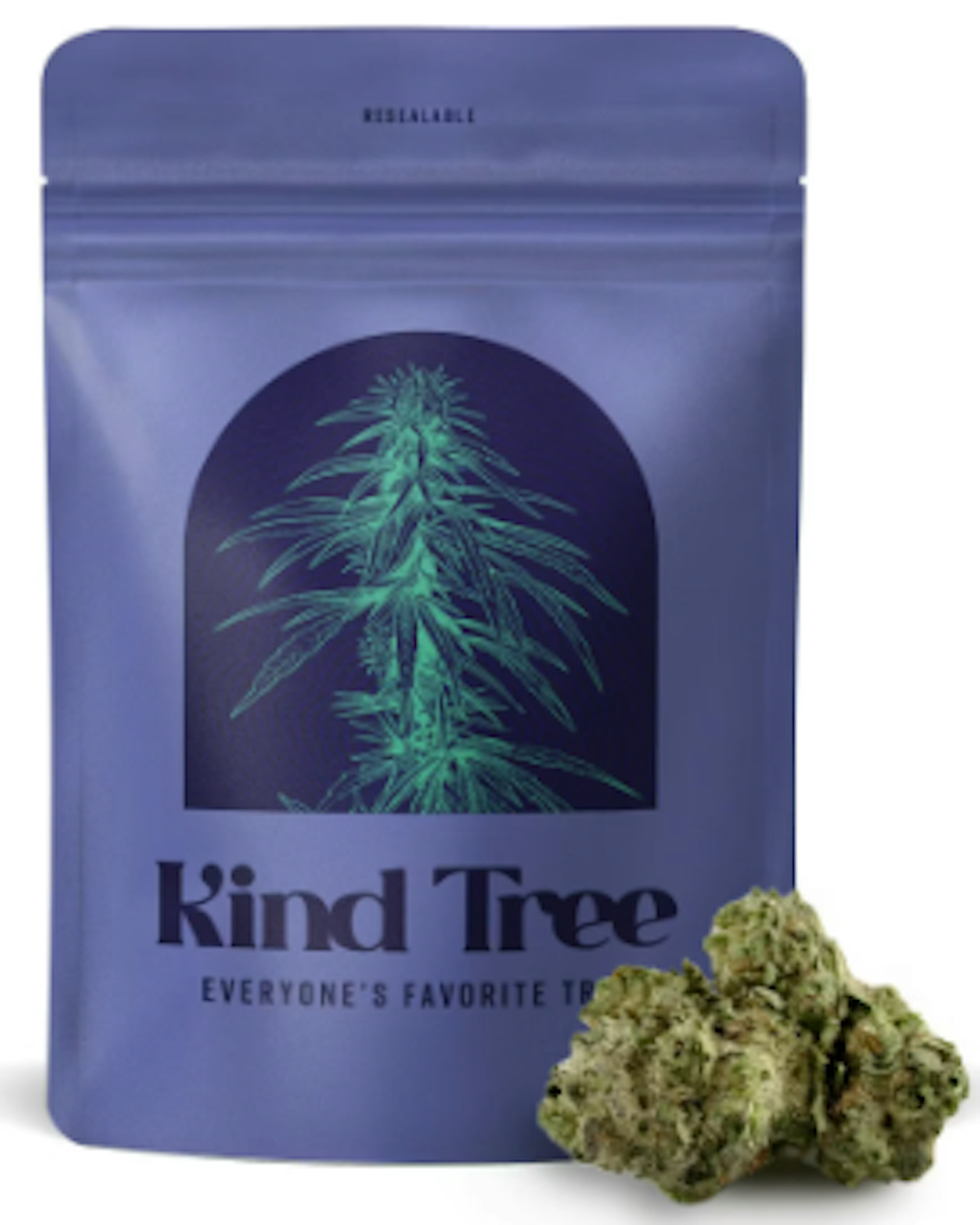 Image of SHADY LADY | 3.5G