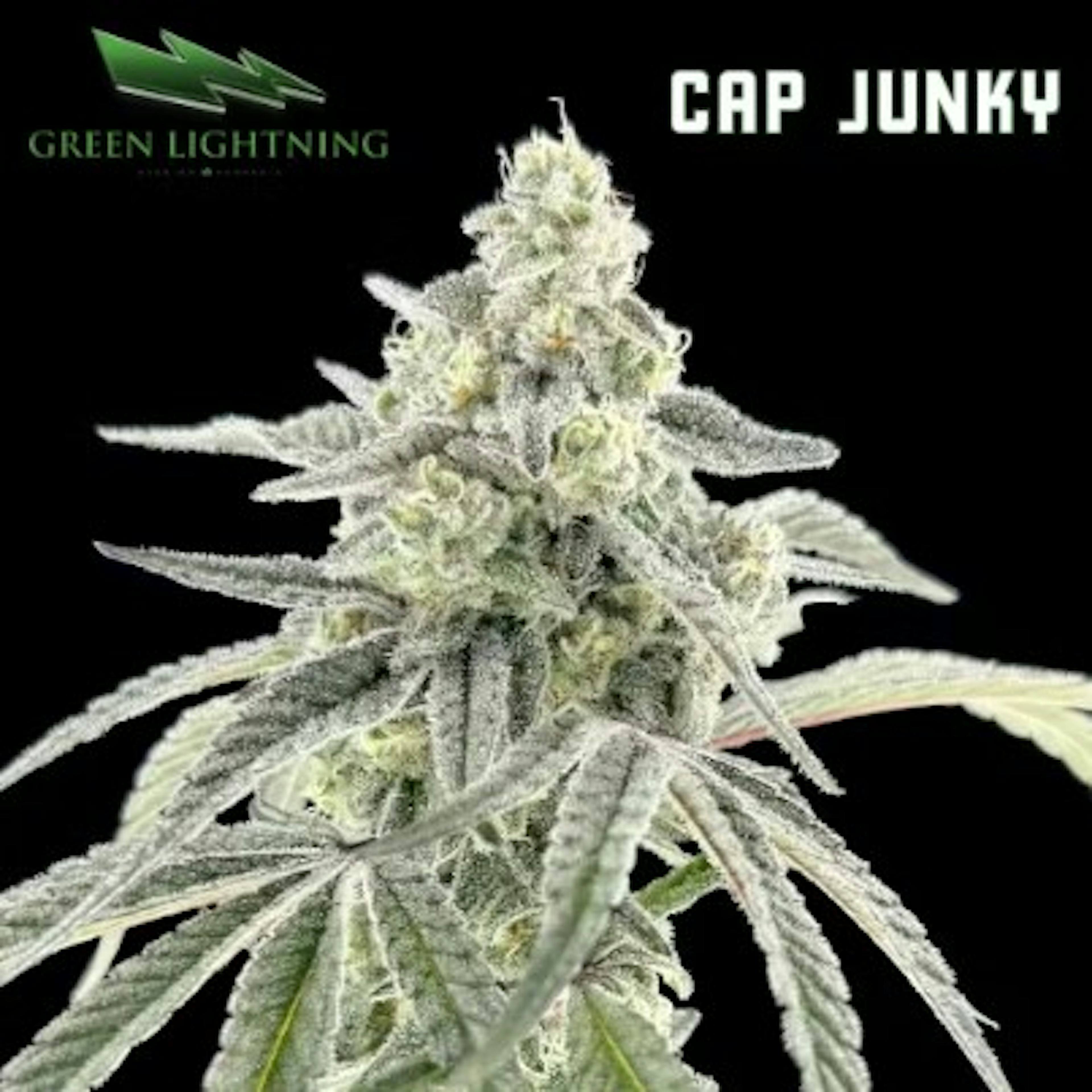 Image of CAP JUNKY | SMALLS | 7G