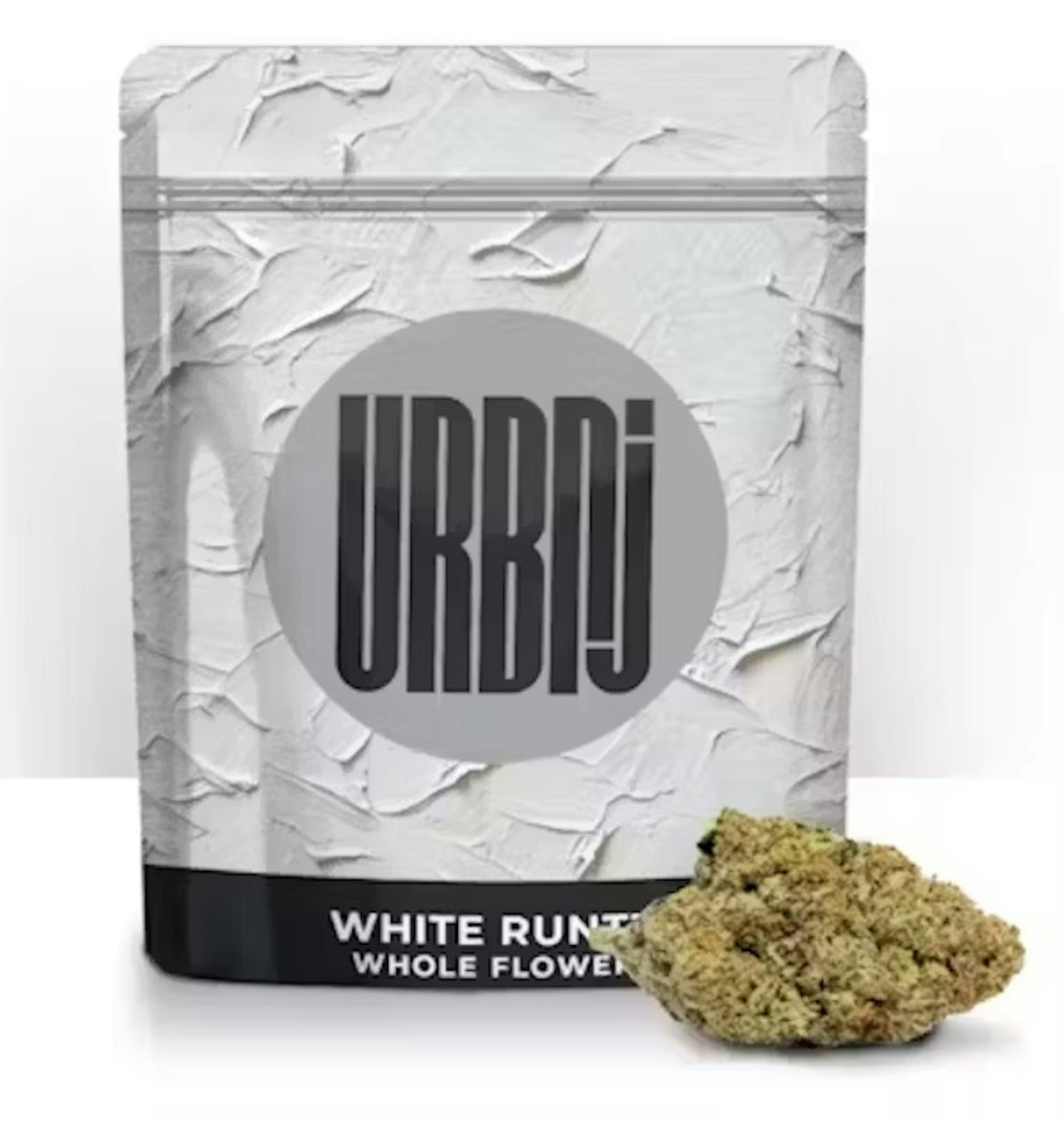 Image of WHITE RUNTZ | 14G