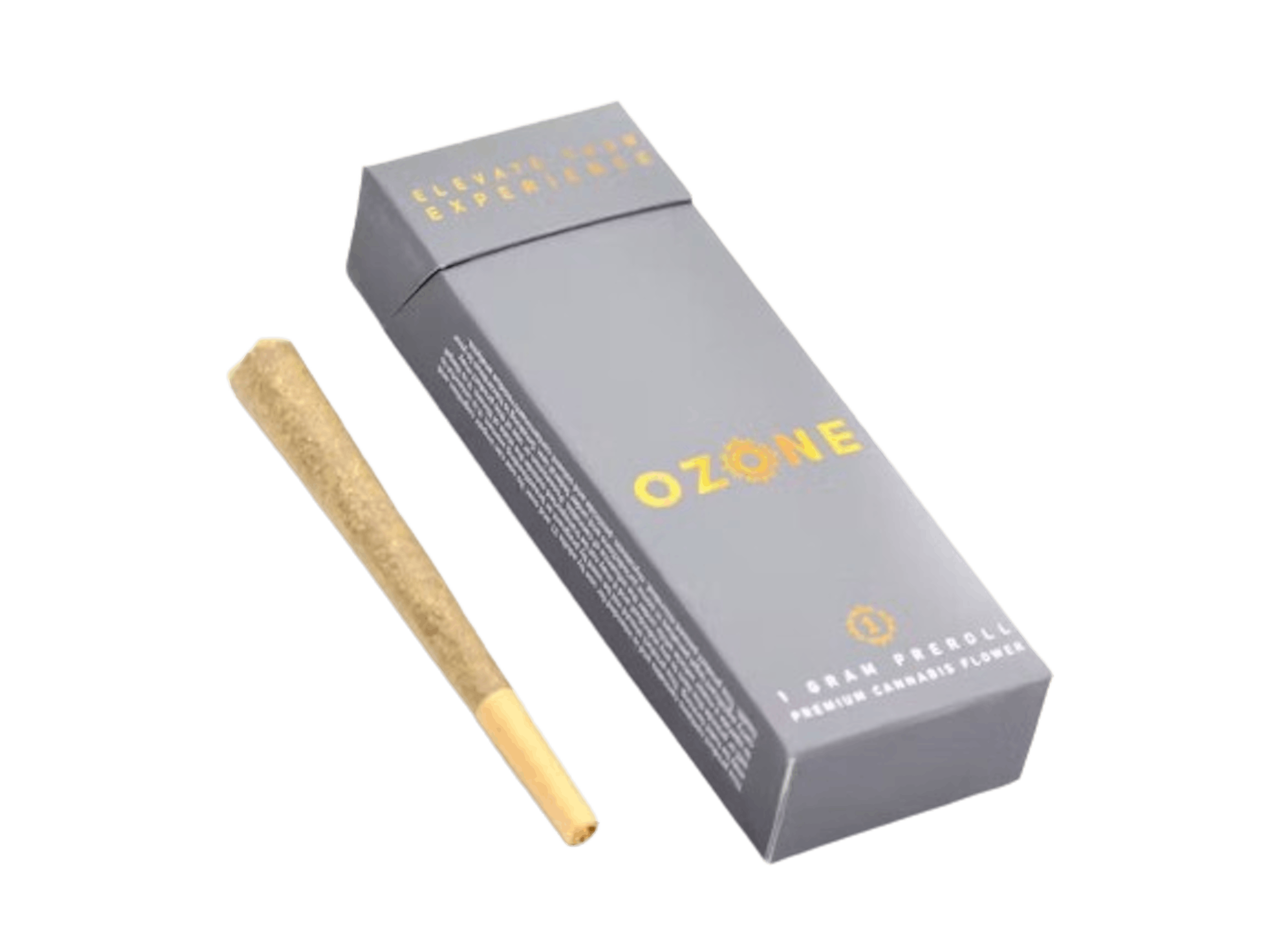 Image of RODMAN #1 |1.5G | 3PK