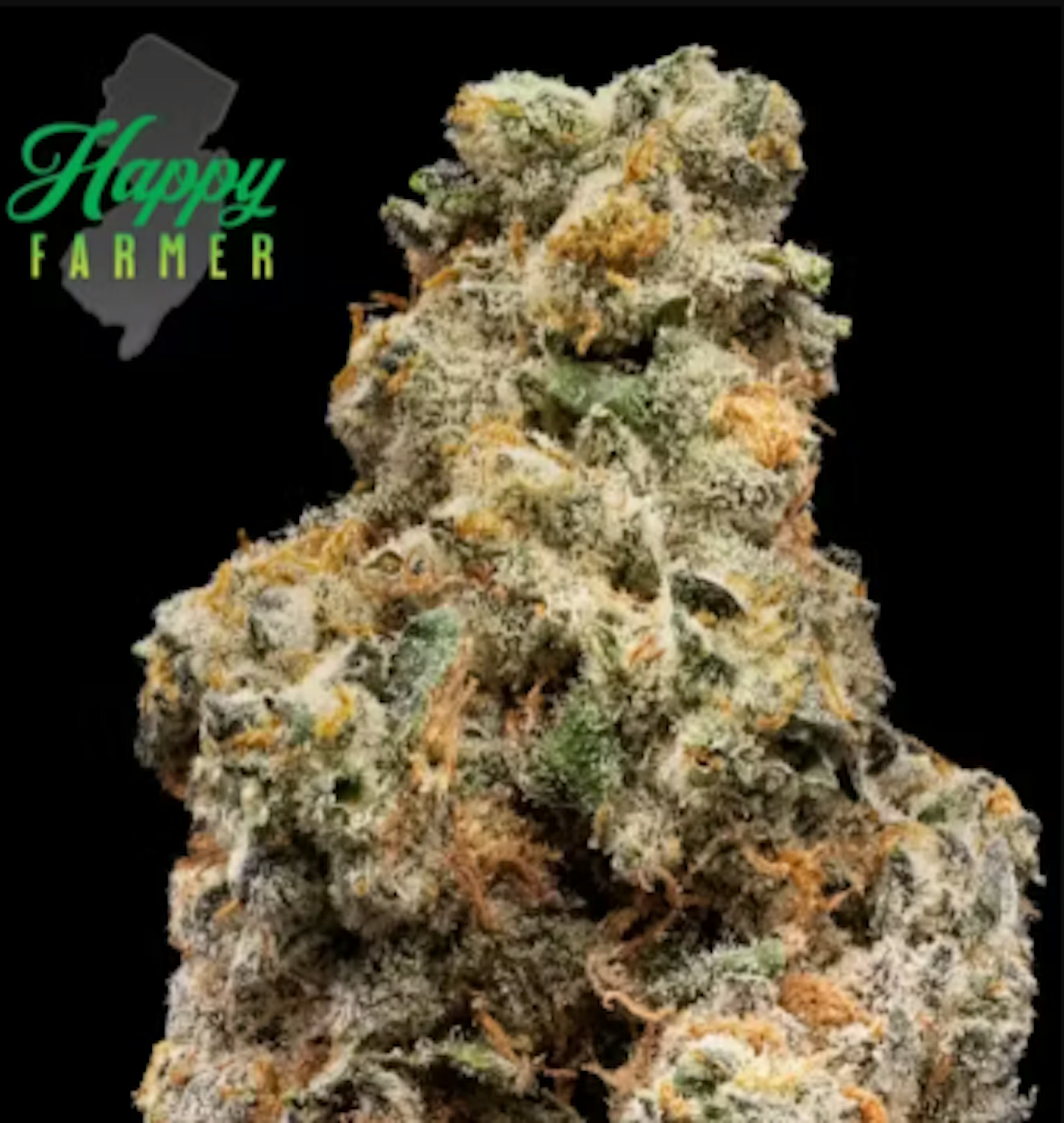 Image of GRAND SLAM | 3.5G