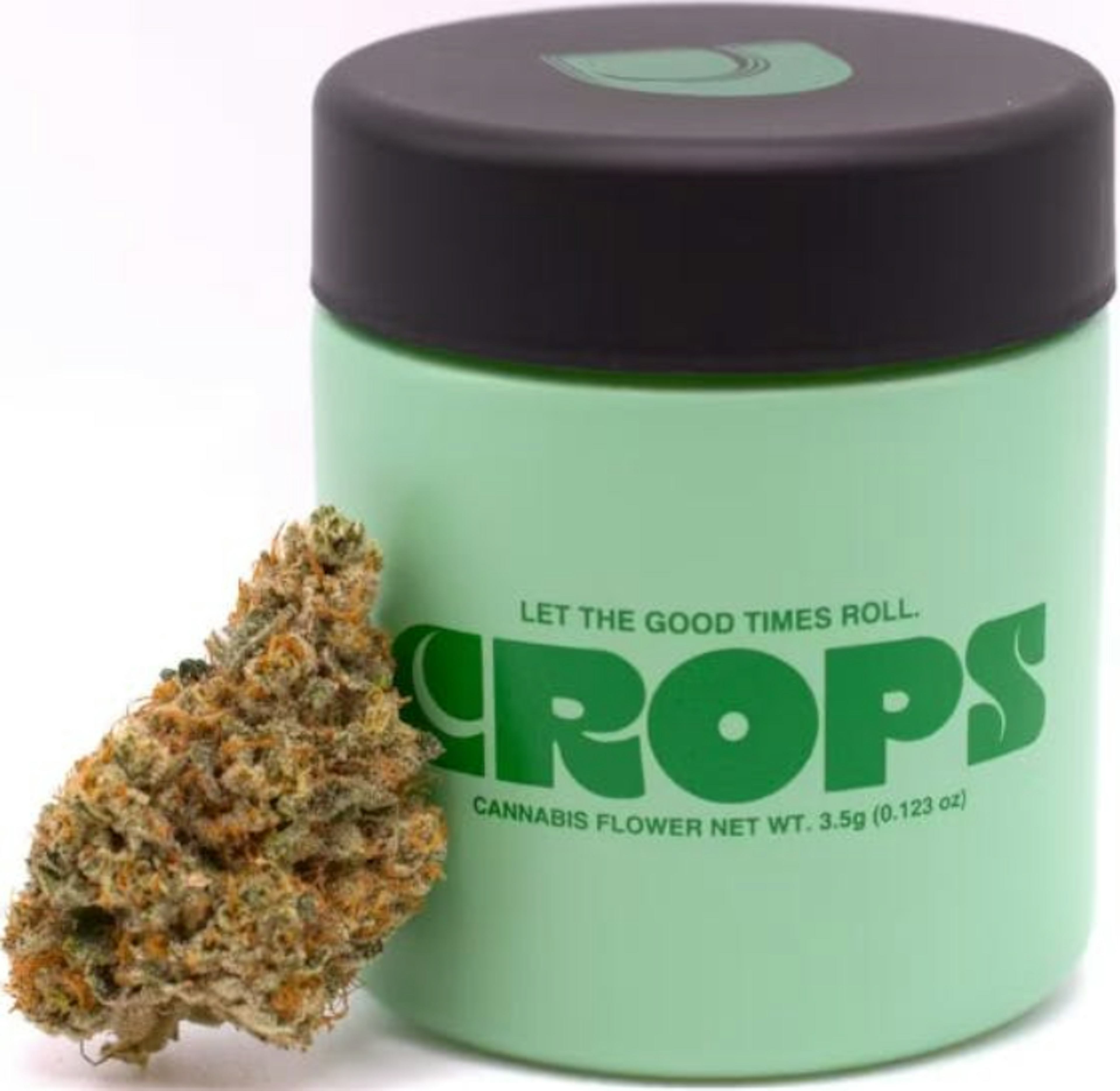 Image of APPLES + BANANAS + MEDELLIN | 3.5G