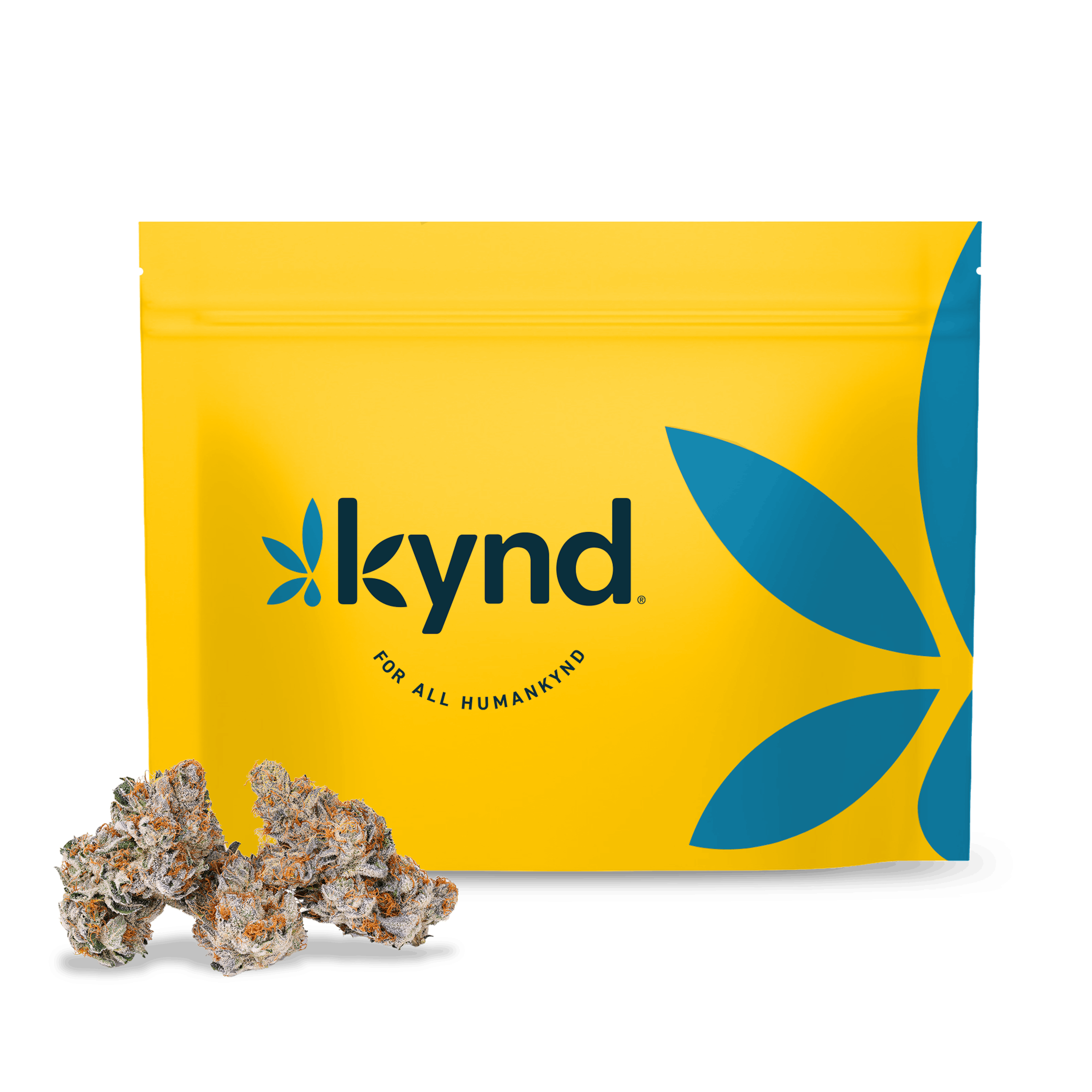 Image of POINSETTIA FIZZ | 3.5G