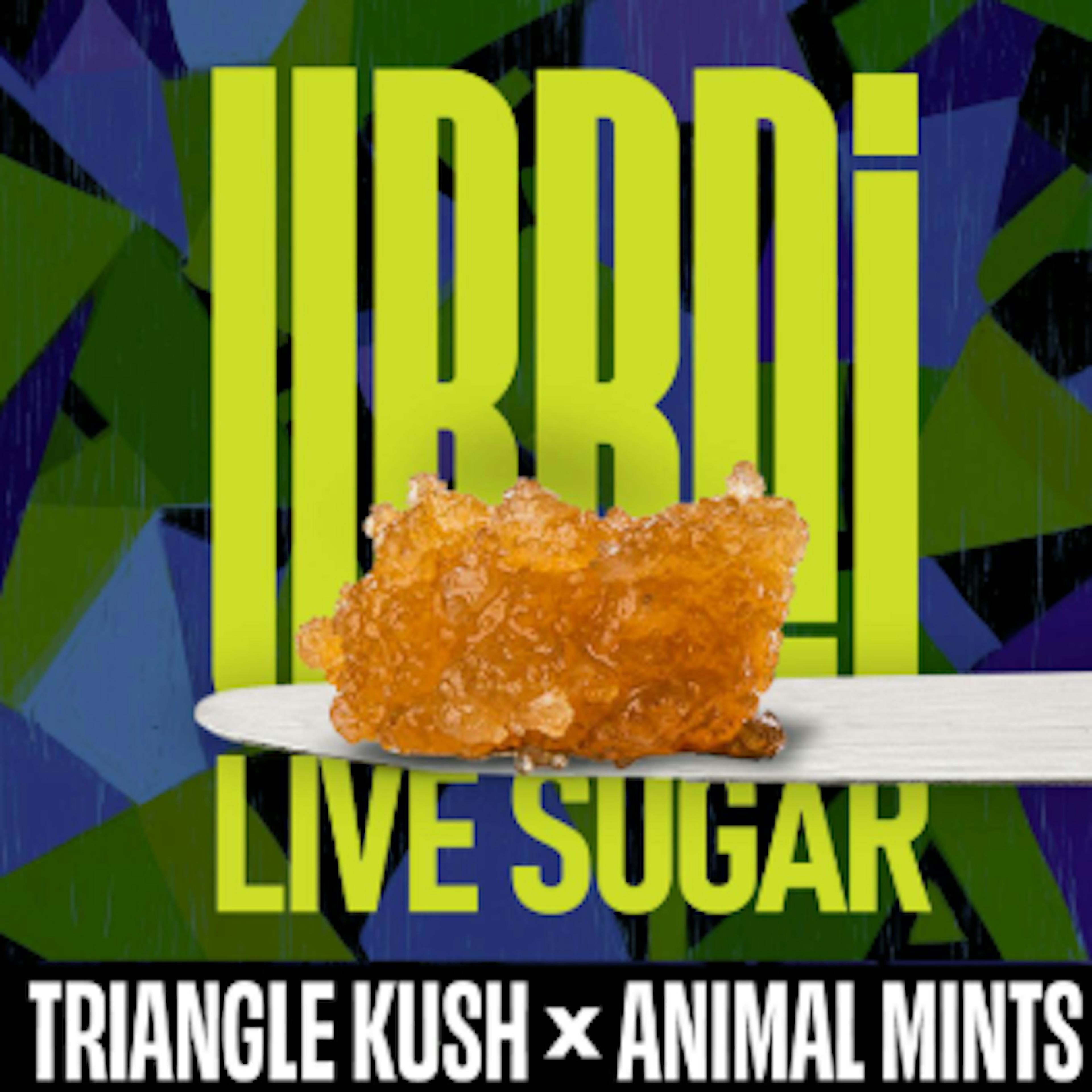 Image of TRIANGLE KUSH X ANIMAL MINTS | LIVE-SUGAR | 1G