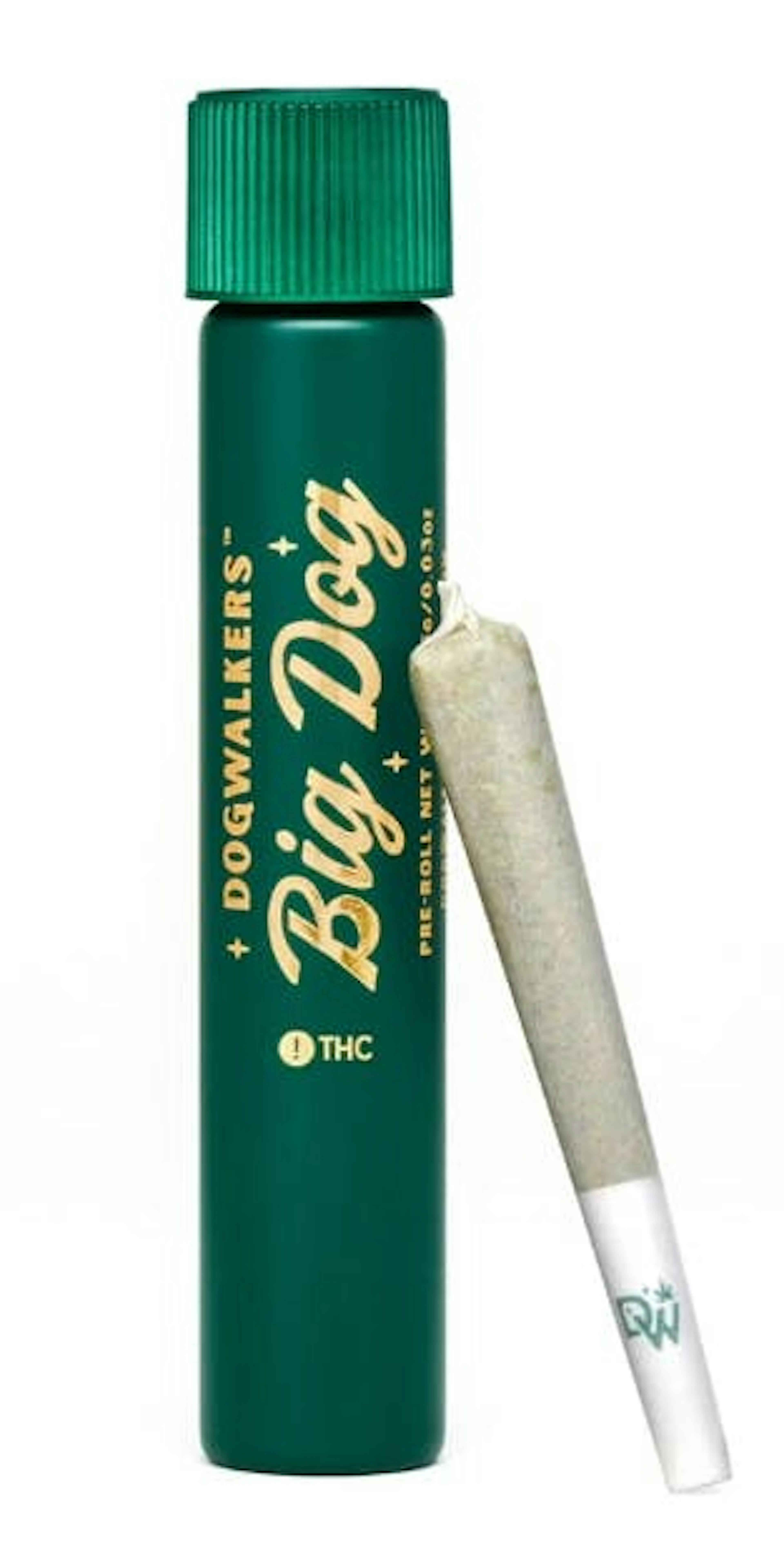 Image of LIONS MANE | BIG DOGS | 1G