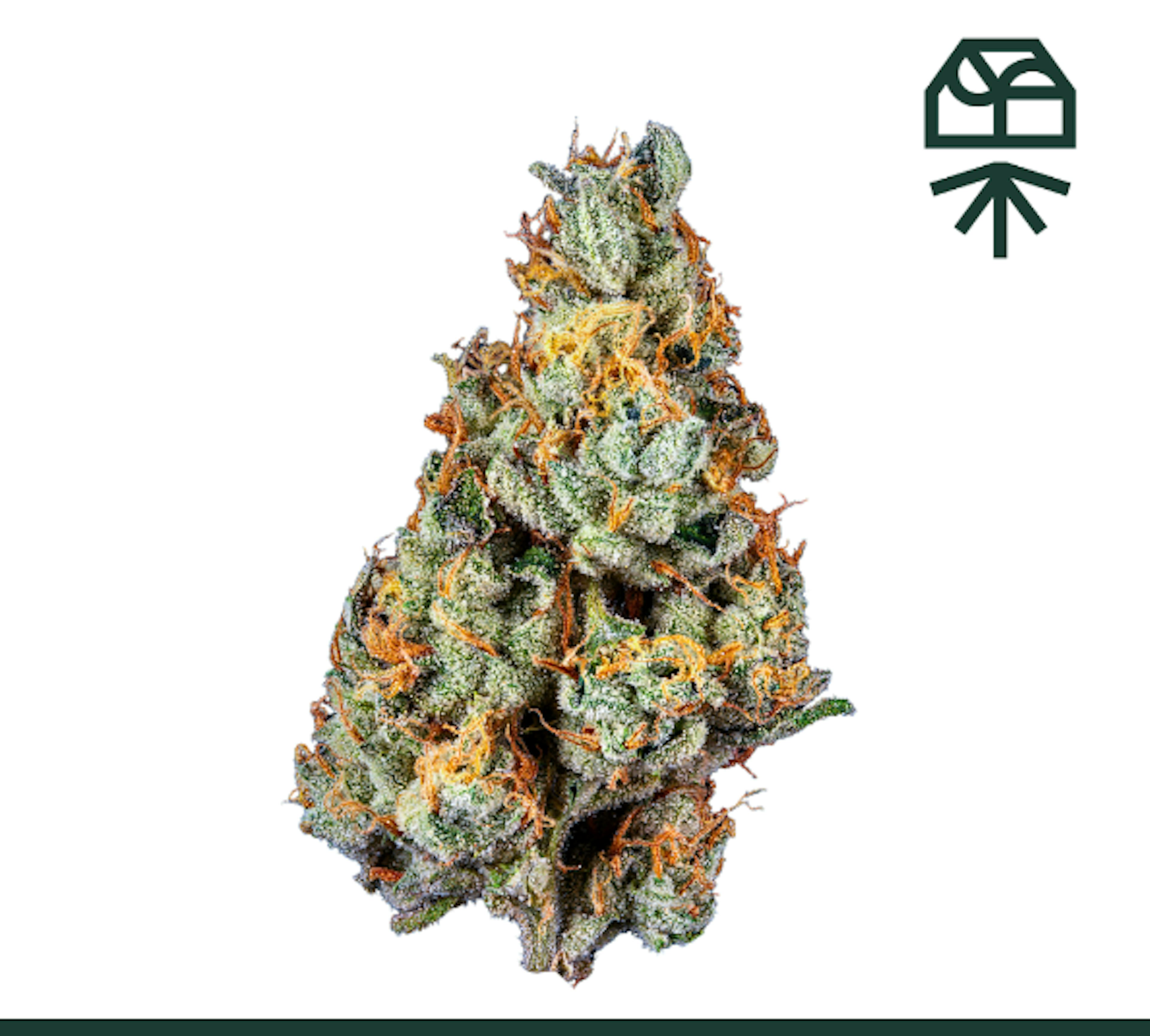 Image of LUCI COOKIES | WHOLE FLOWER | 3.5G