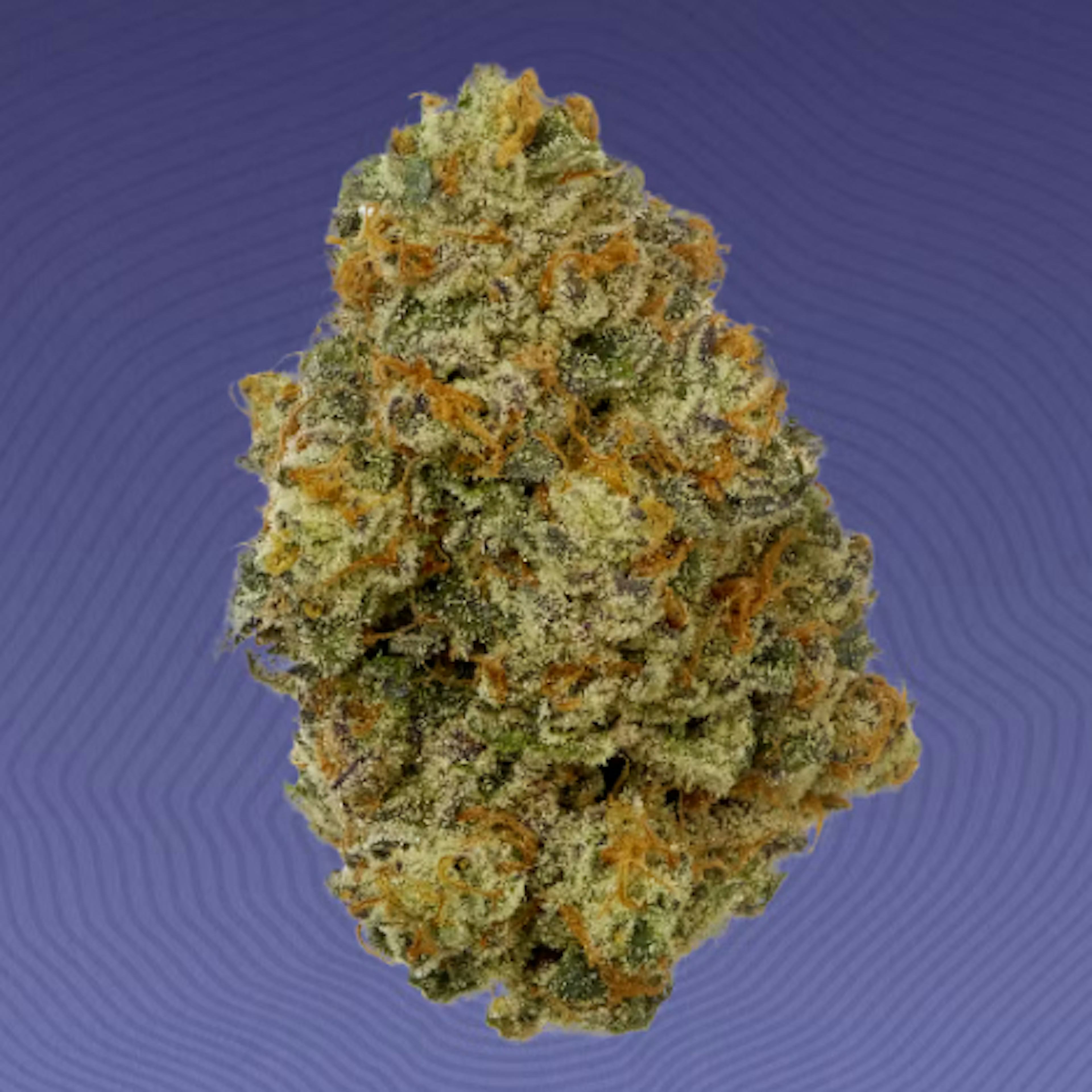 Image of BUBBLEGUM WEDDING | 3.5G