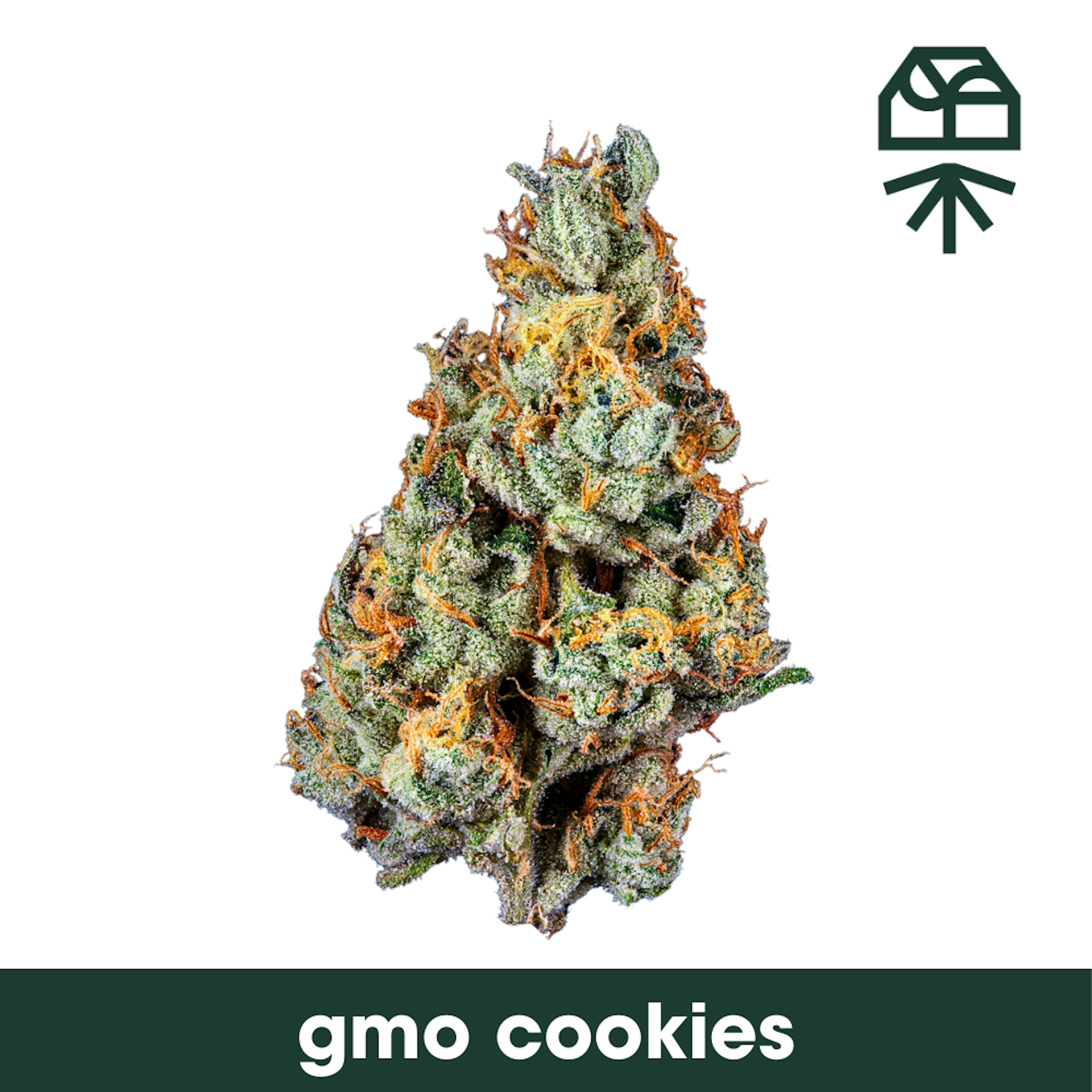 Image of GMO COOKIES | 3.5G | WHOLE FLOWER