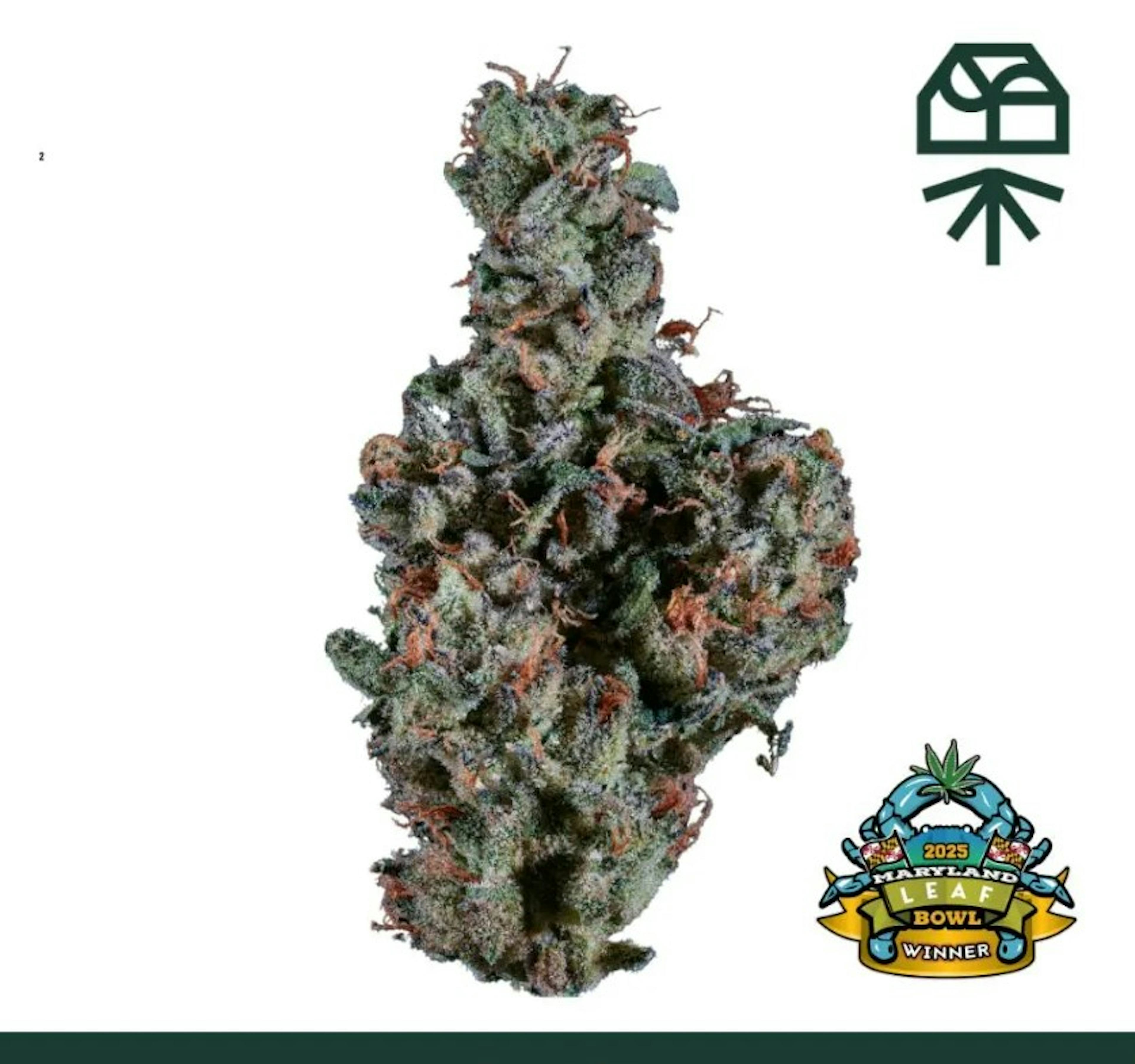 Image of NORTH WEDDING CAKE | 7G | SMALLS