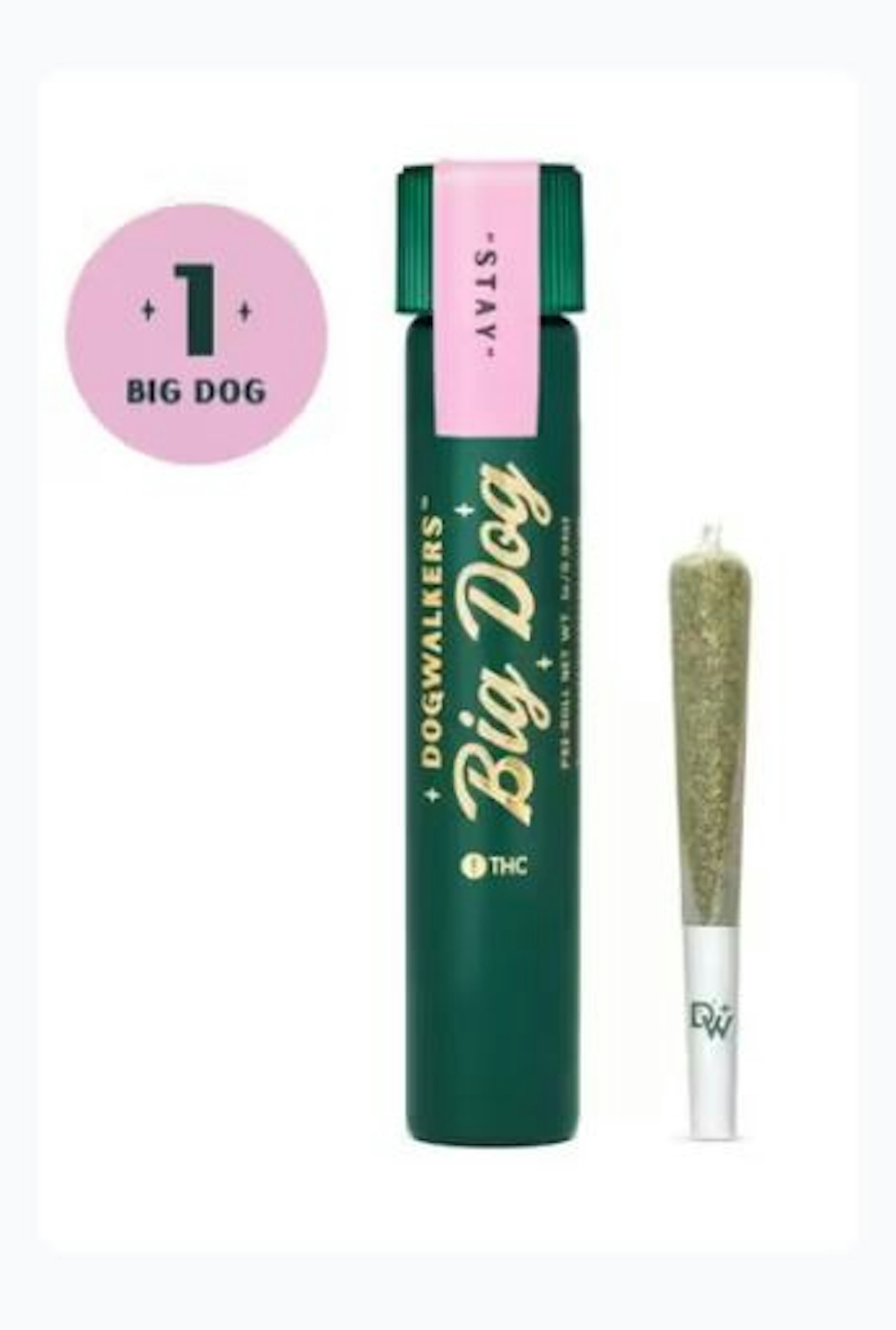 Image of STAR STRUCK | 1G | STAY