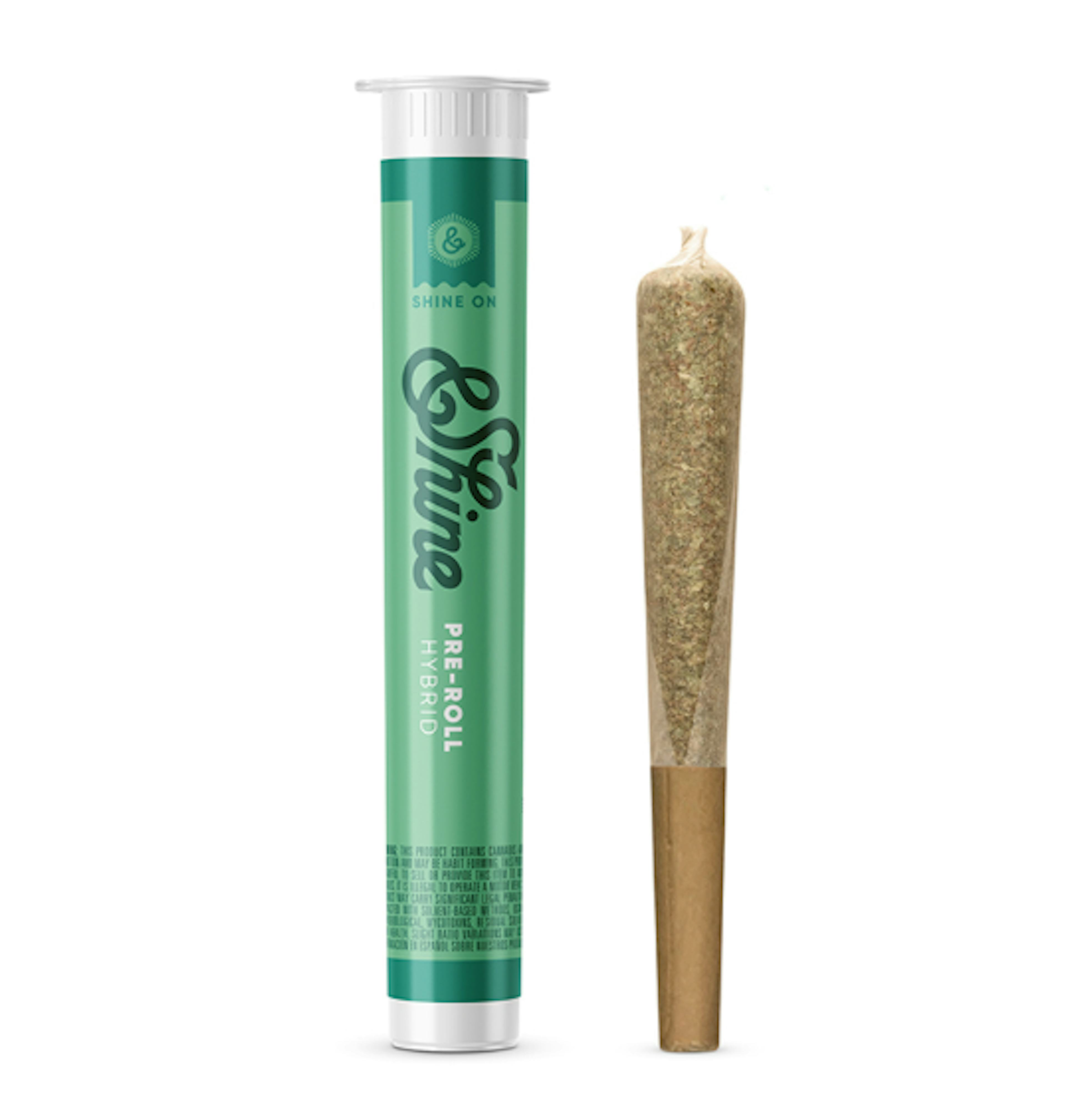 Image of SHERBANGER #22 | 1G