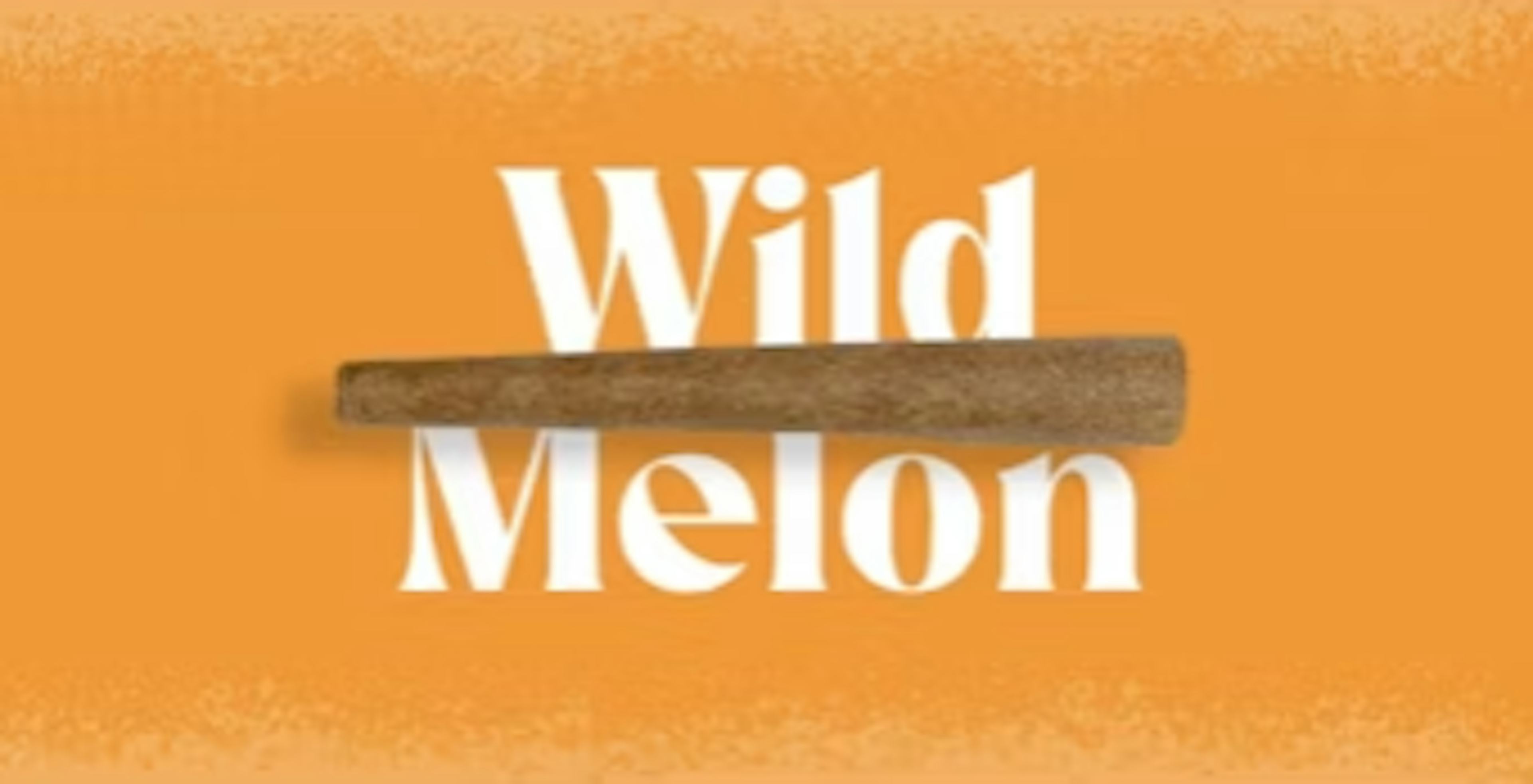 Image of WILD MELON | 1G | INFUSED BLUNT