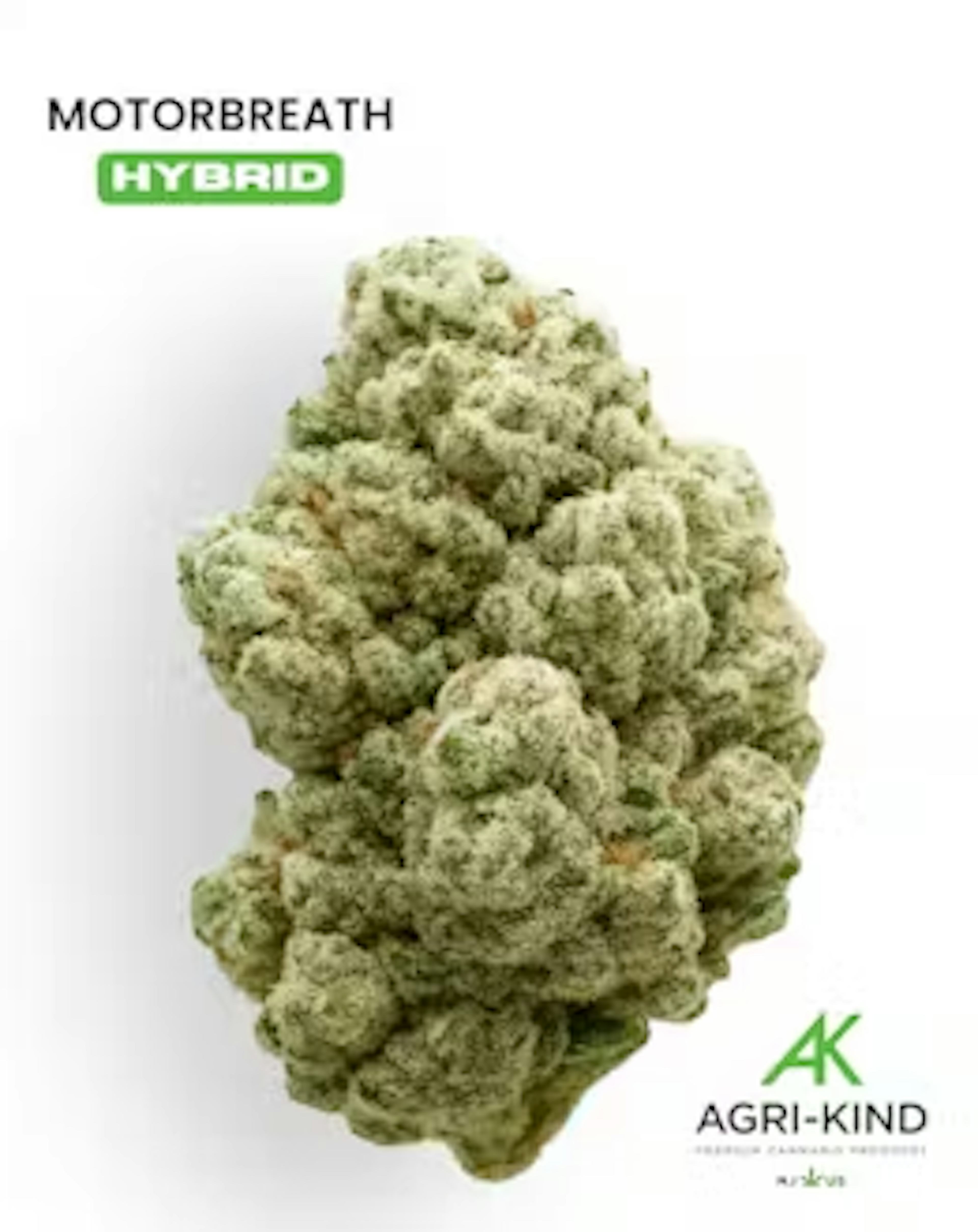 Image of MOTORBREATH | 2G | FLOWER