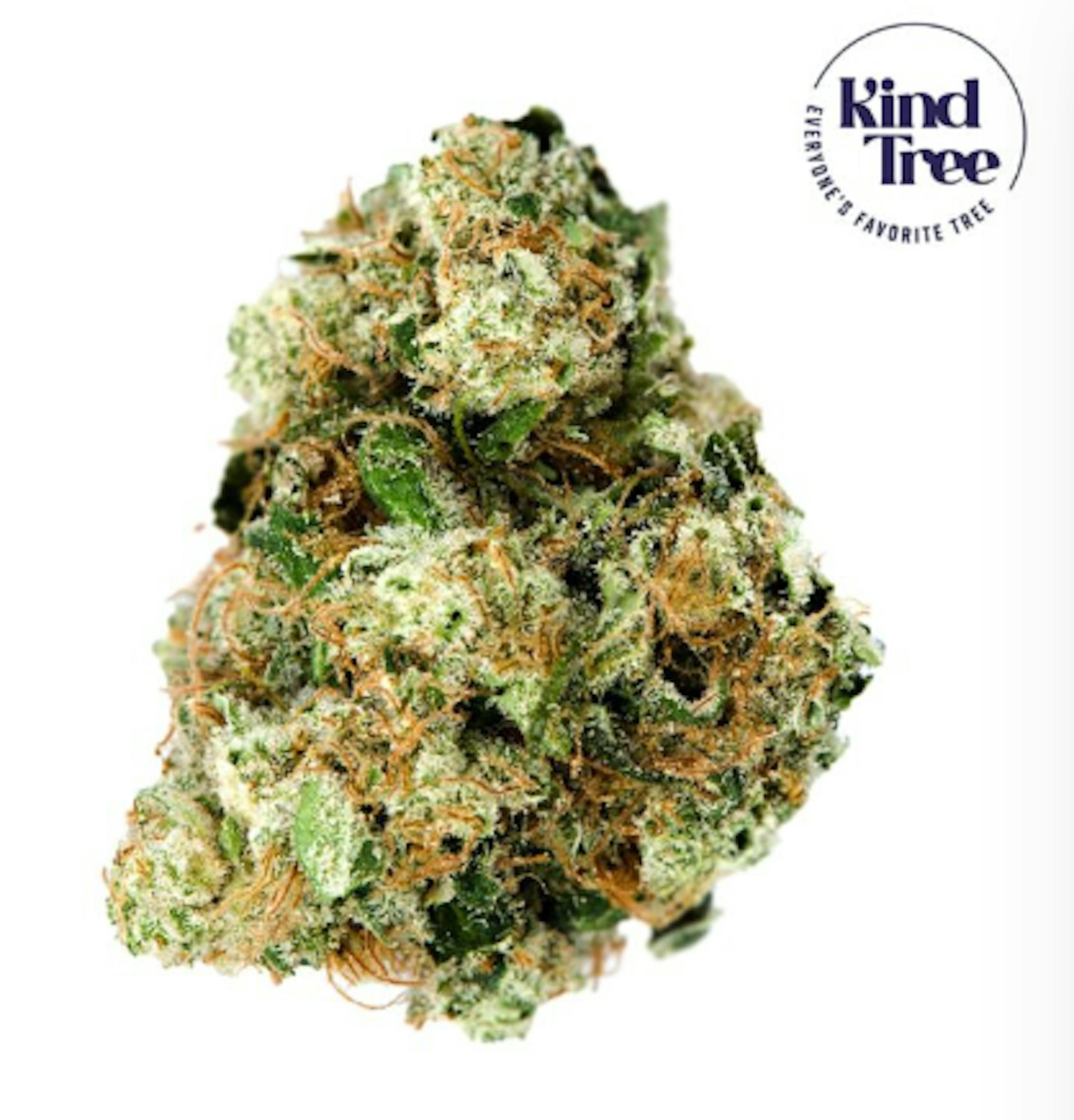 Image of DIRTY TAXI | 3.5G