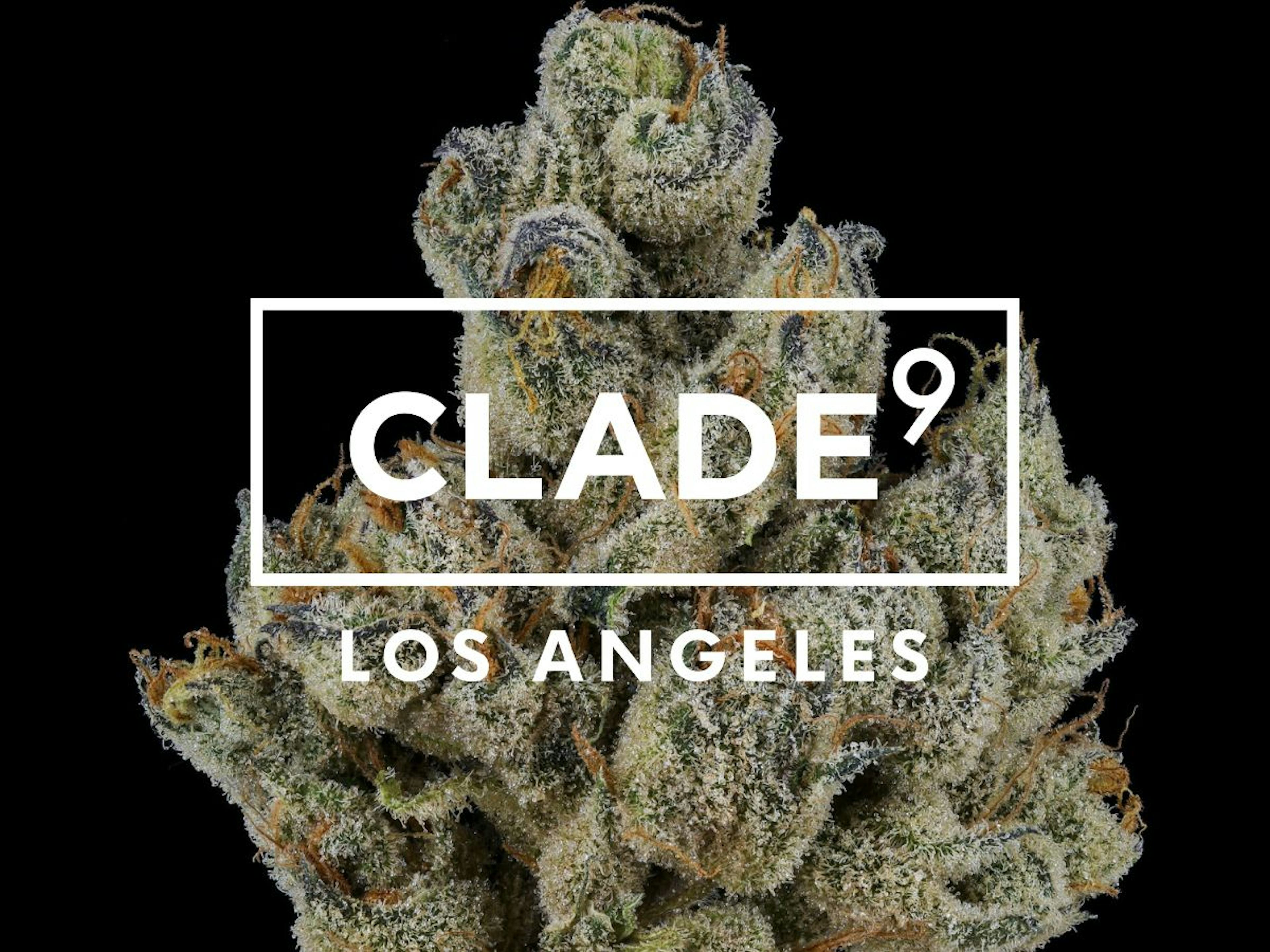 Image of LA PIFF | 1G | PRE-ROLL