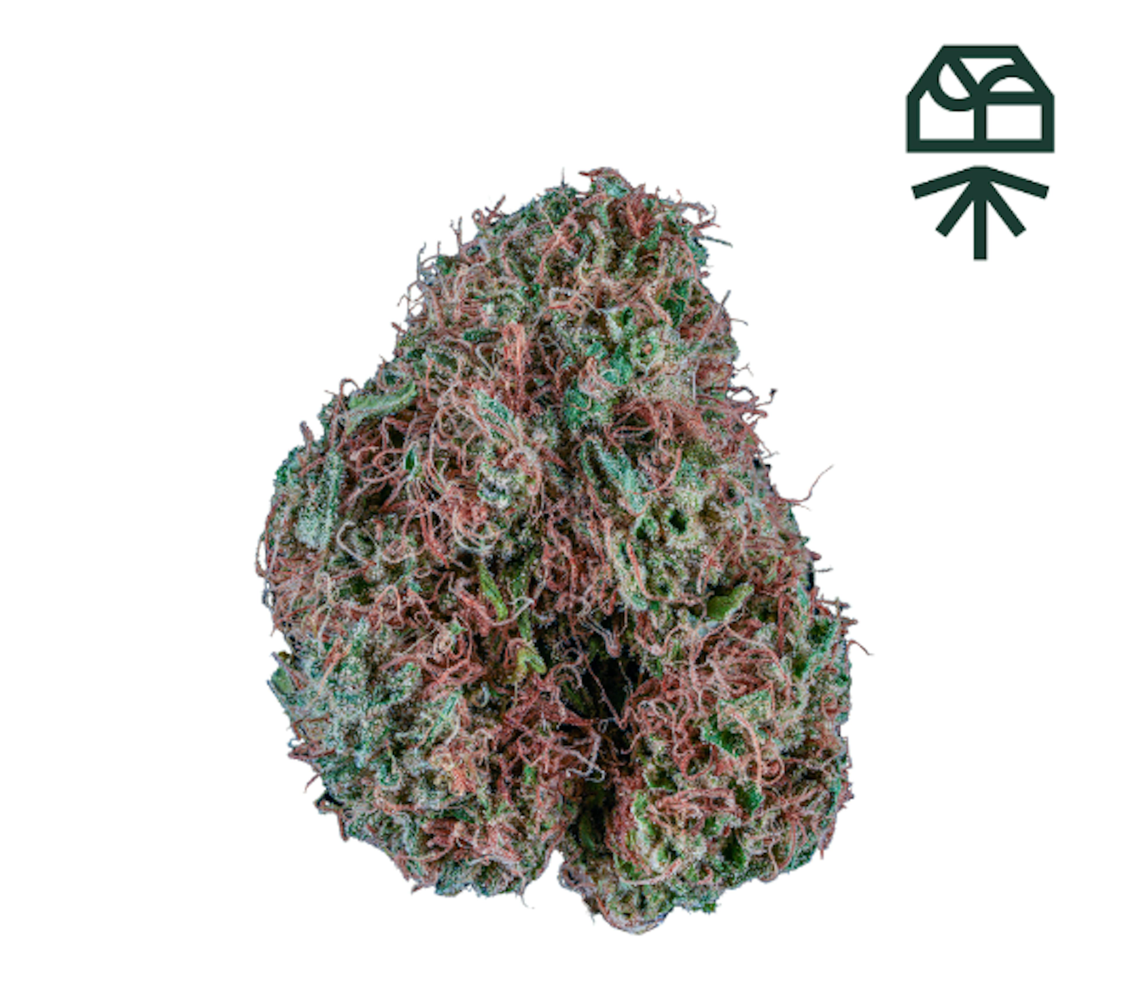 Image of HALF MOON GELATO | 3.5G