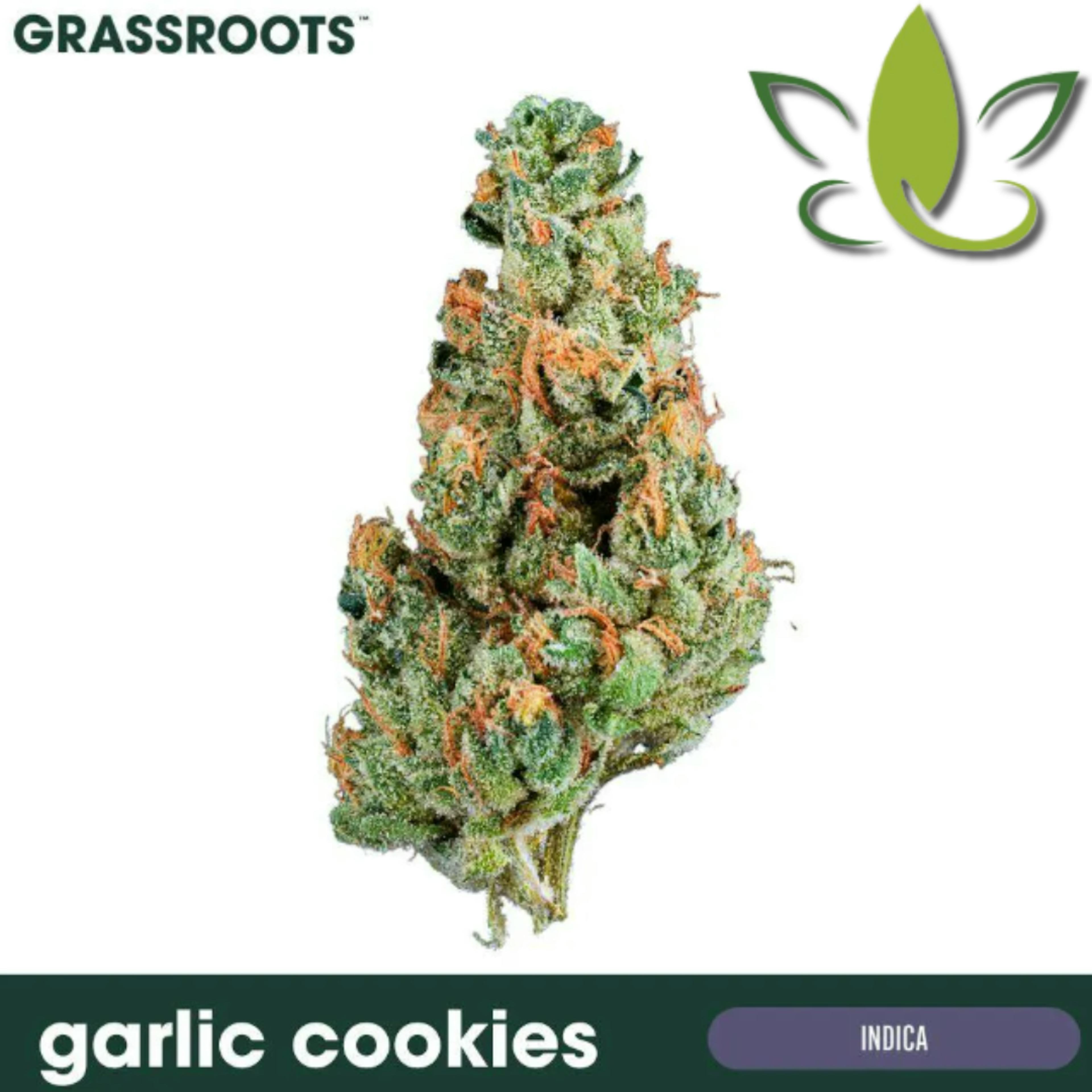 Image of GARLIC COOKIES | WHOLE FLOWER | 3.5G