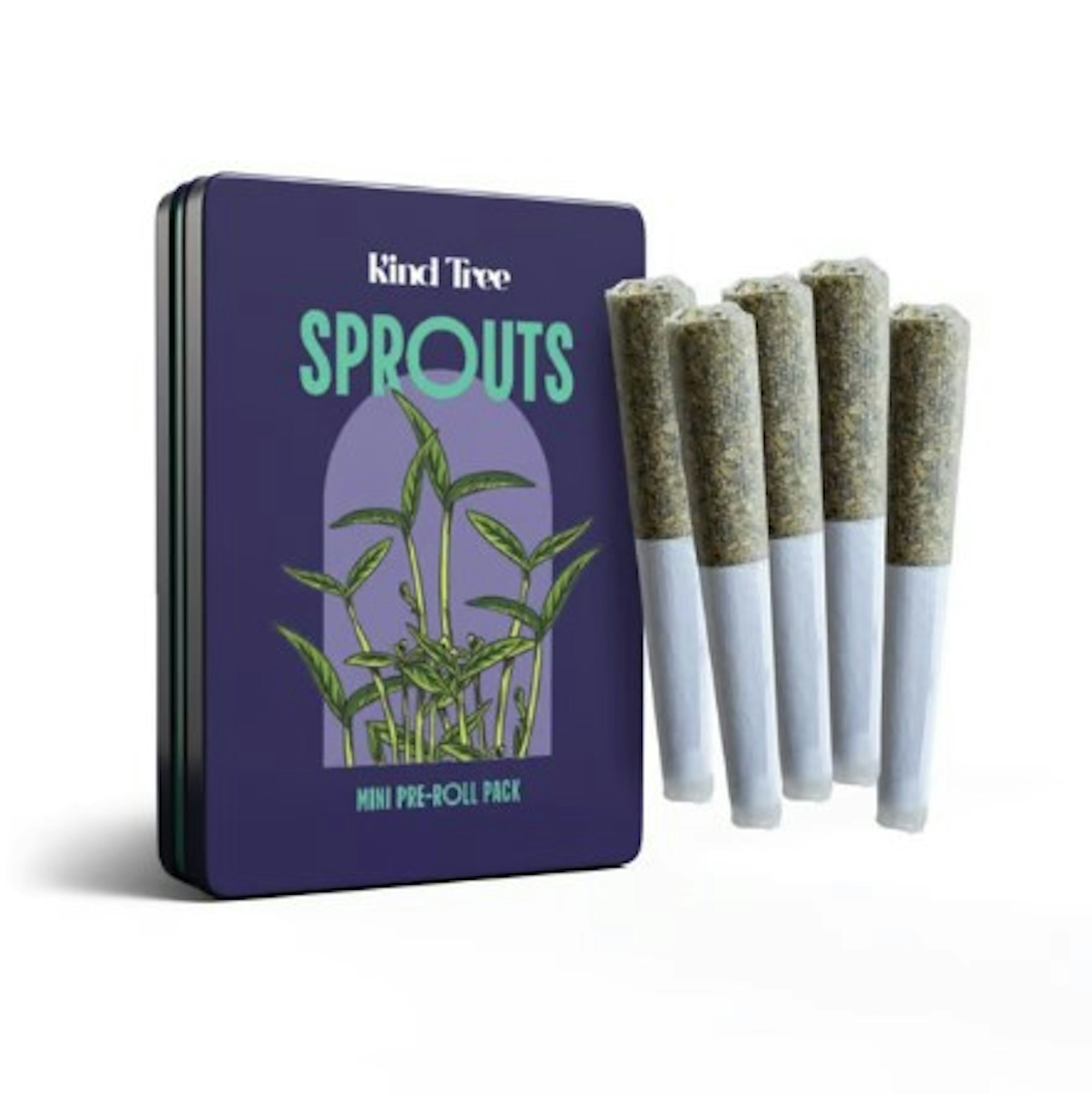 Image of LEMON CHERRY SHERBERT | 1.75G | 5PK