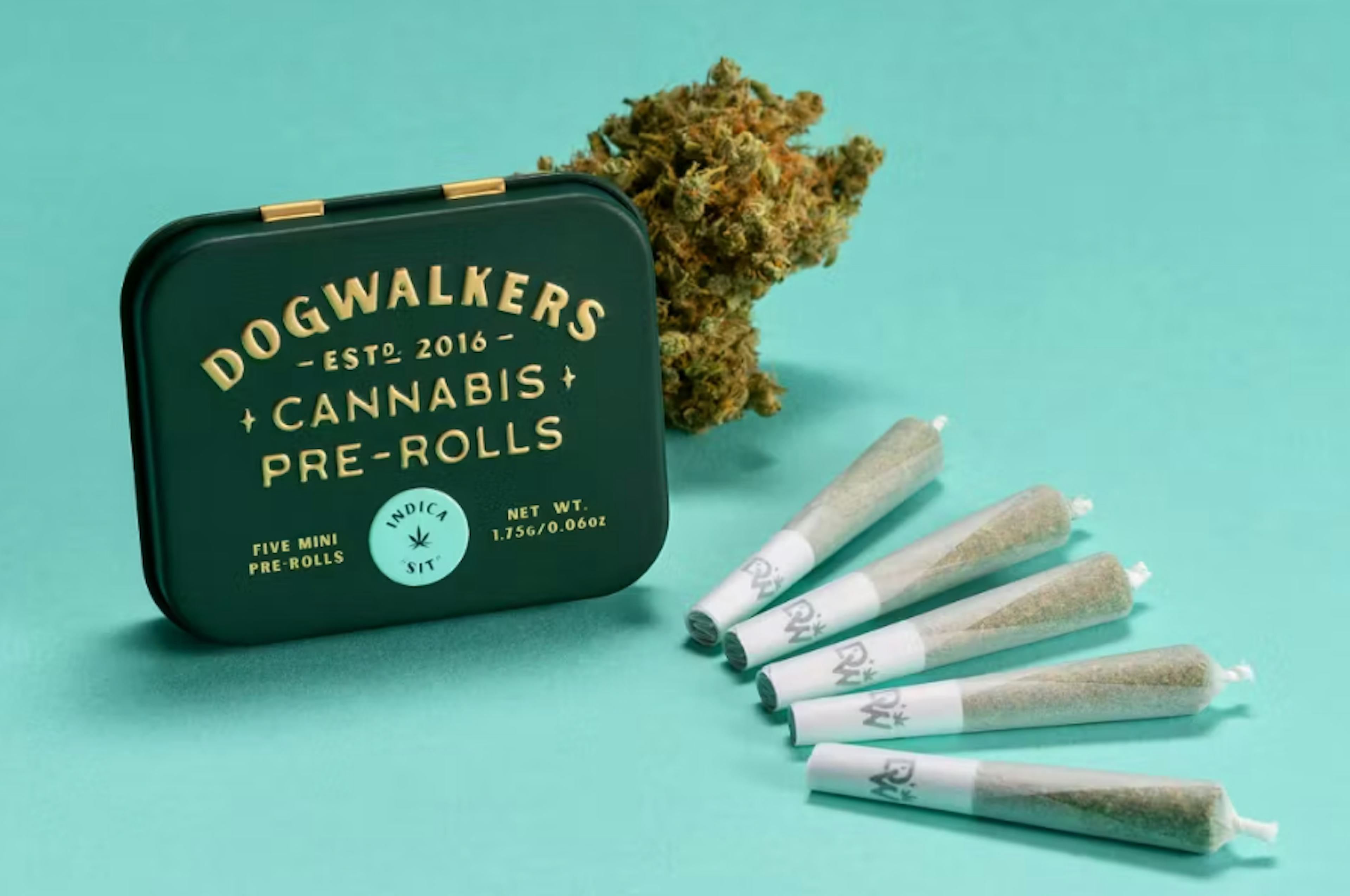 Image of ZOMBIE SCOUT | 1.75G | 5PK