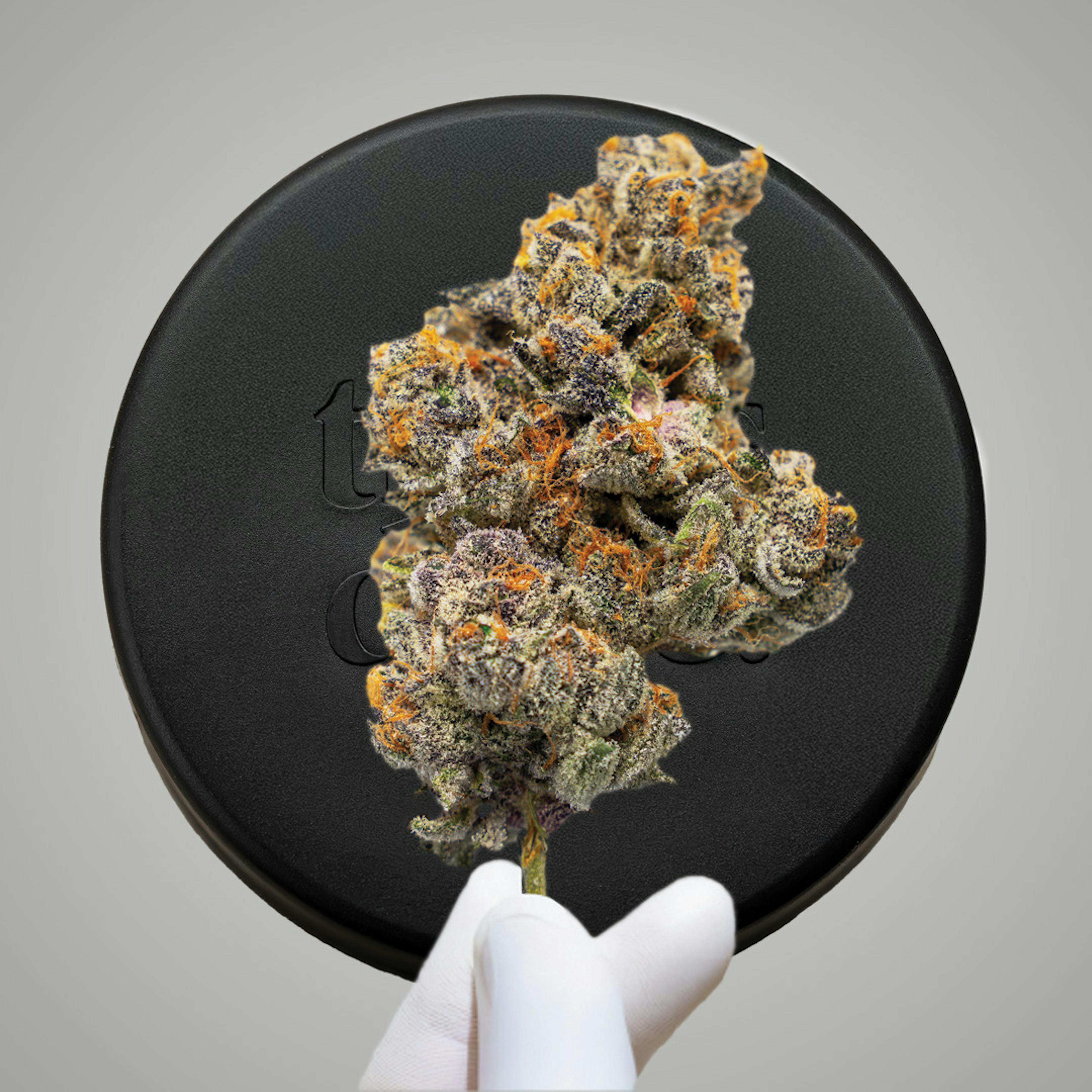 Image of MILK BATH | GOODIES | 14G | WHOLE BUDS