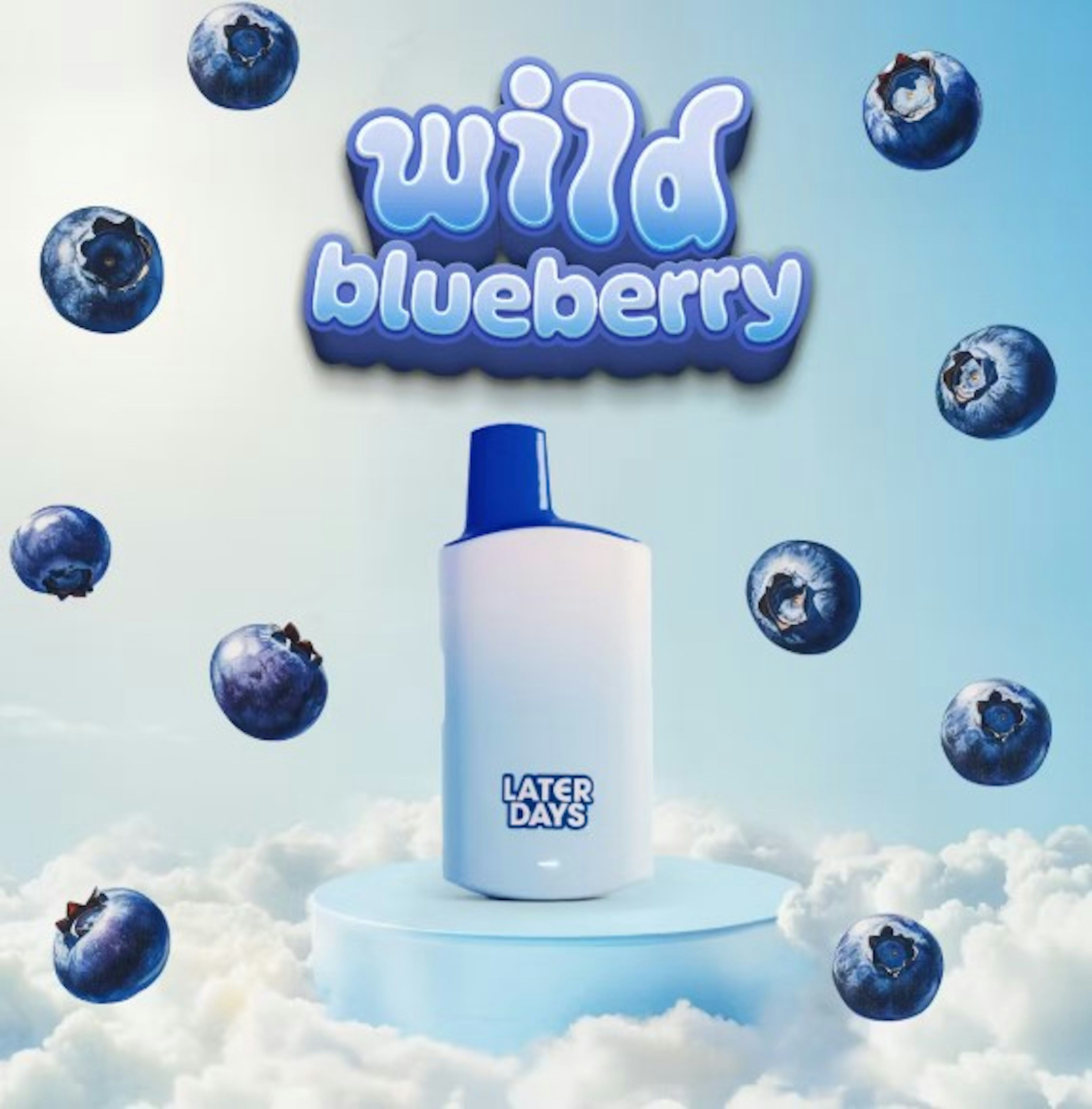 Image of WILD BLUEBERRY | DISPOSABLE | 2G