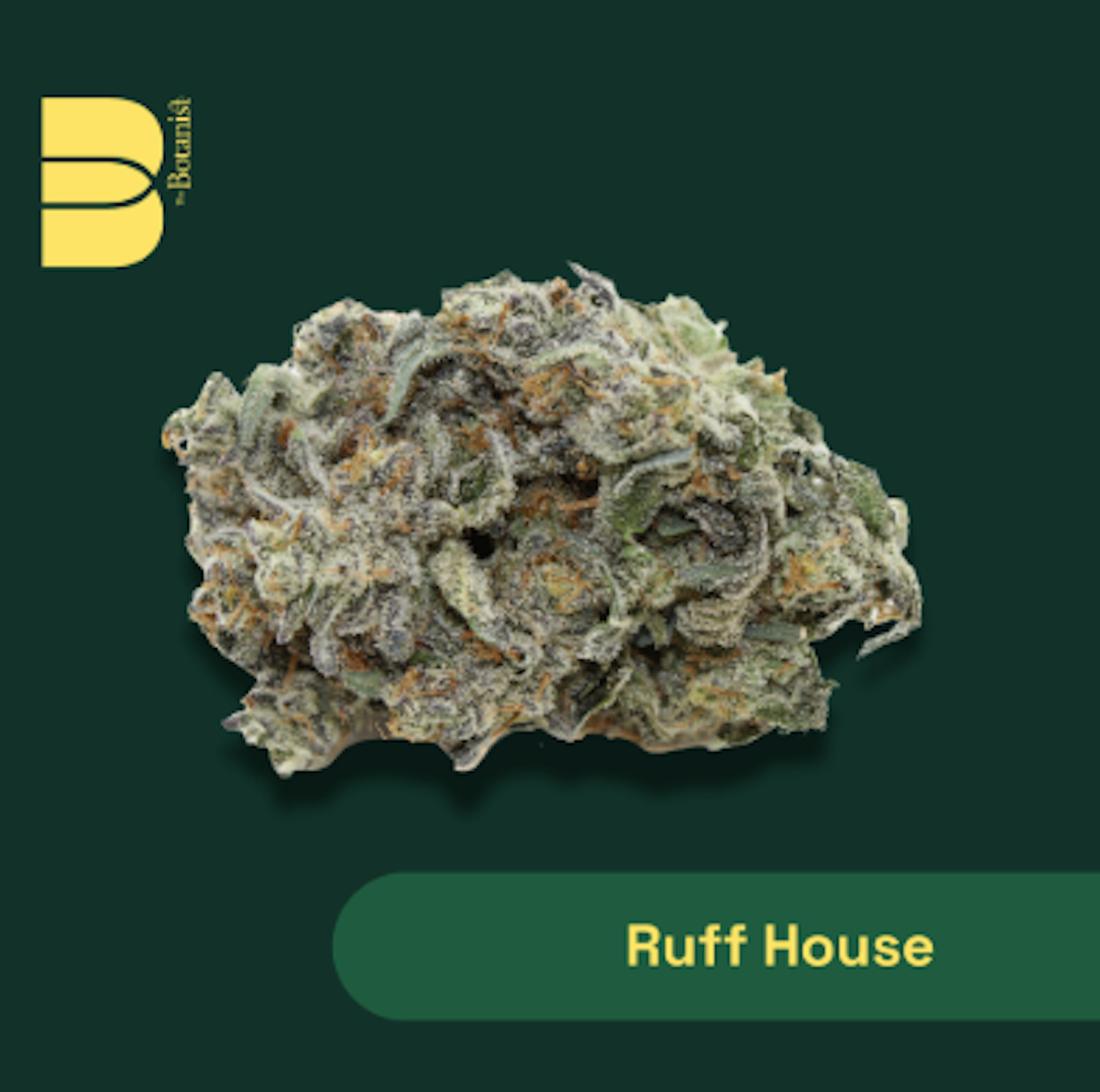 Image of RUFFHOUSE | 3.5G | FLOWER