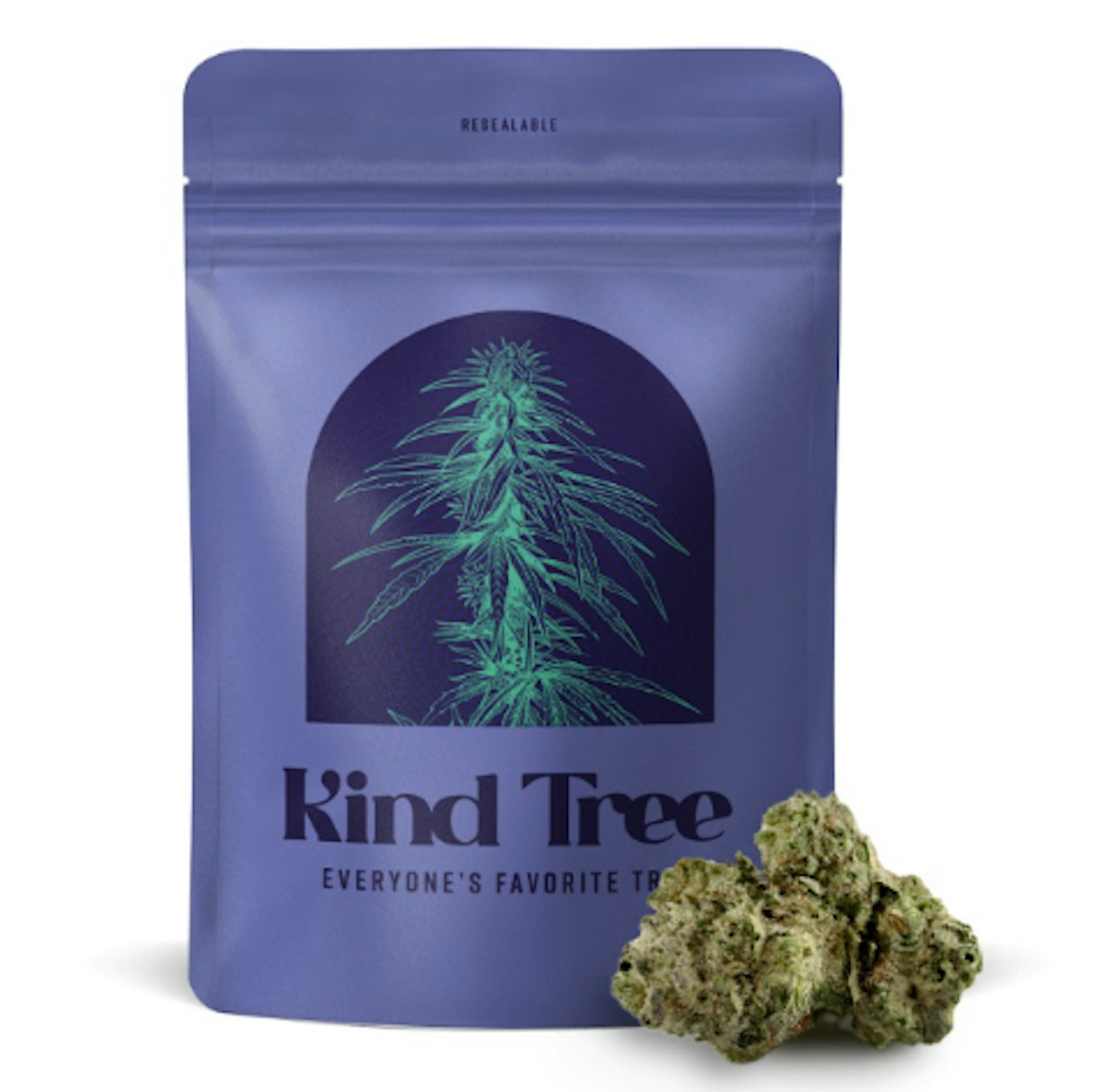 Image of CHERRY SLUSHEE | LITTLES | 7G