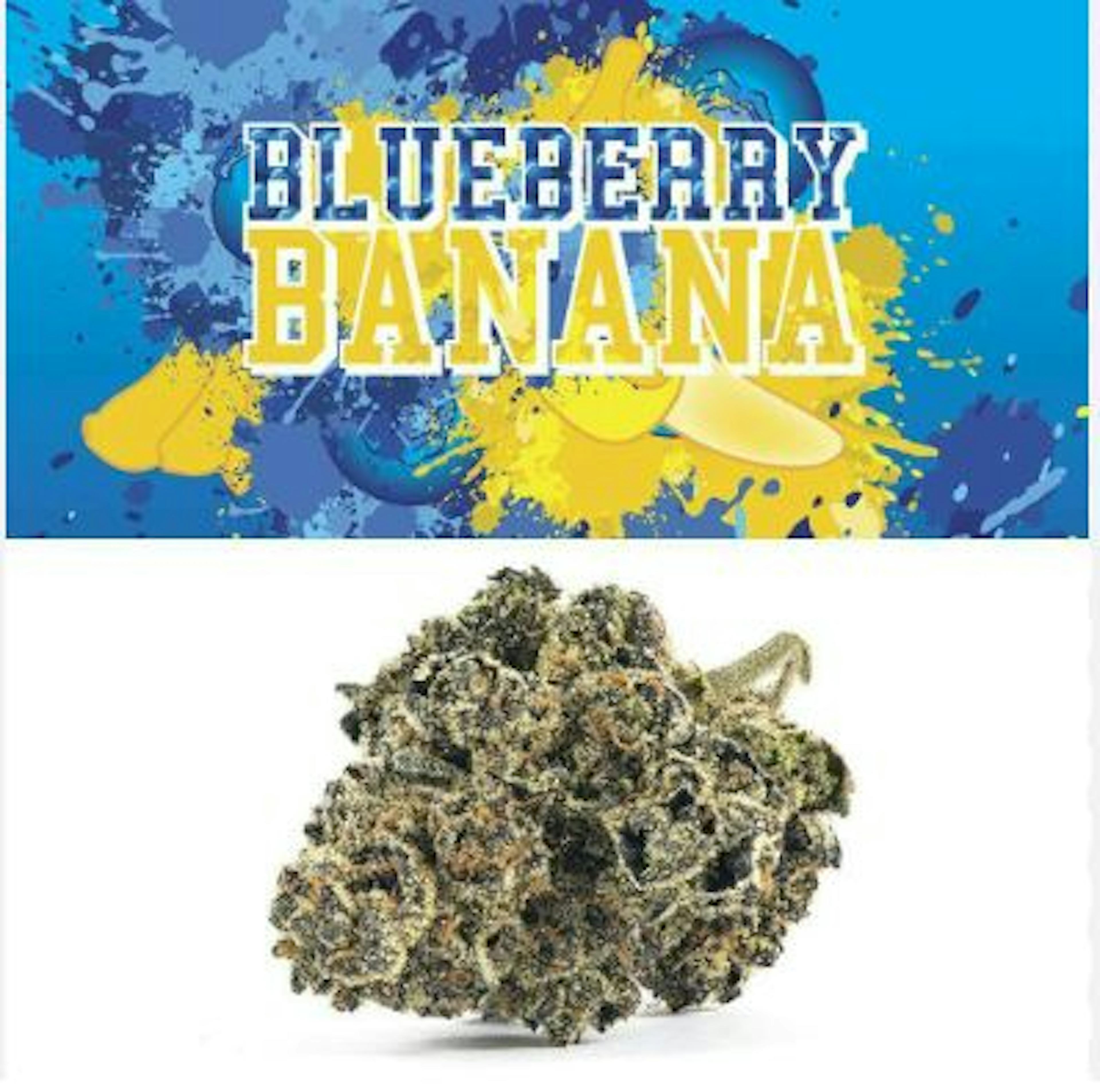 Image of BLUEBERRY BANANA | 3.5G