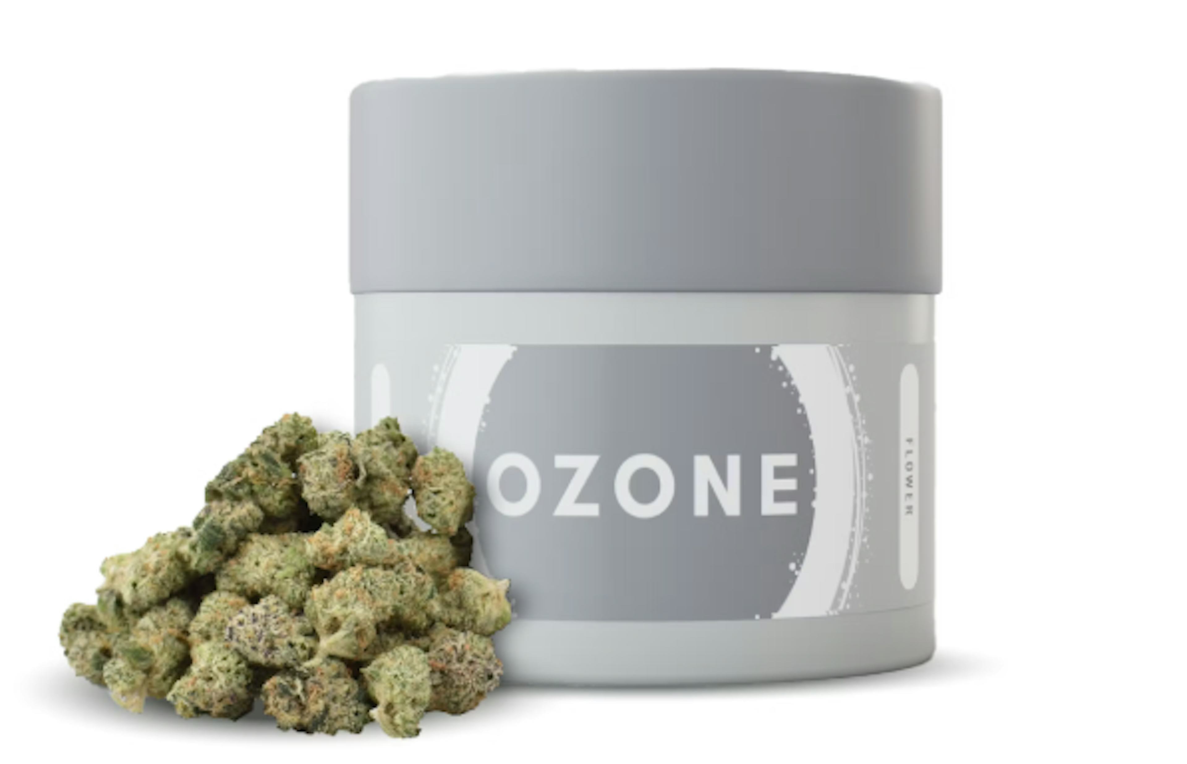 Image of ANIMAL CAKE | 7G | POPCORN