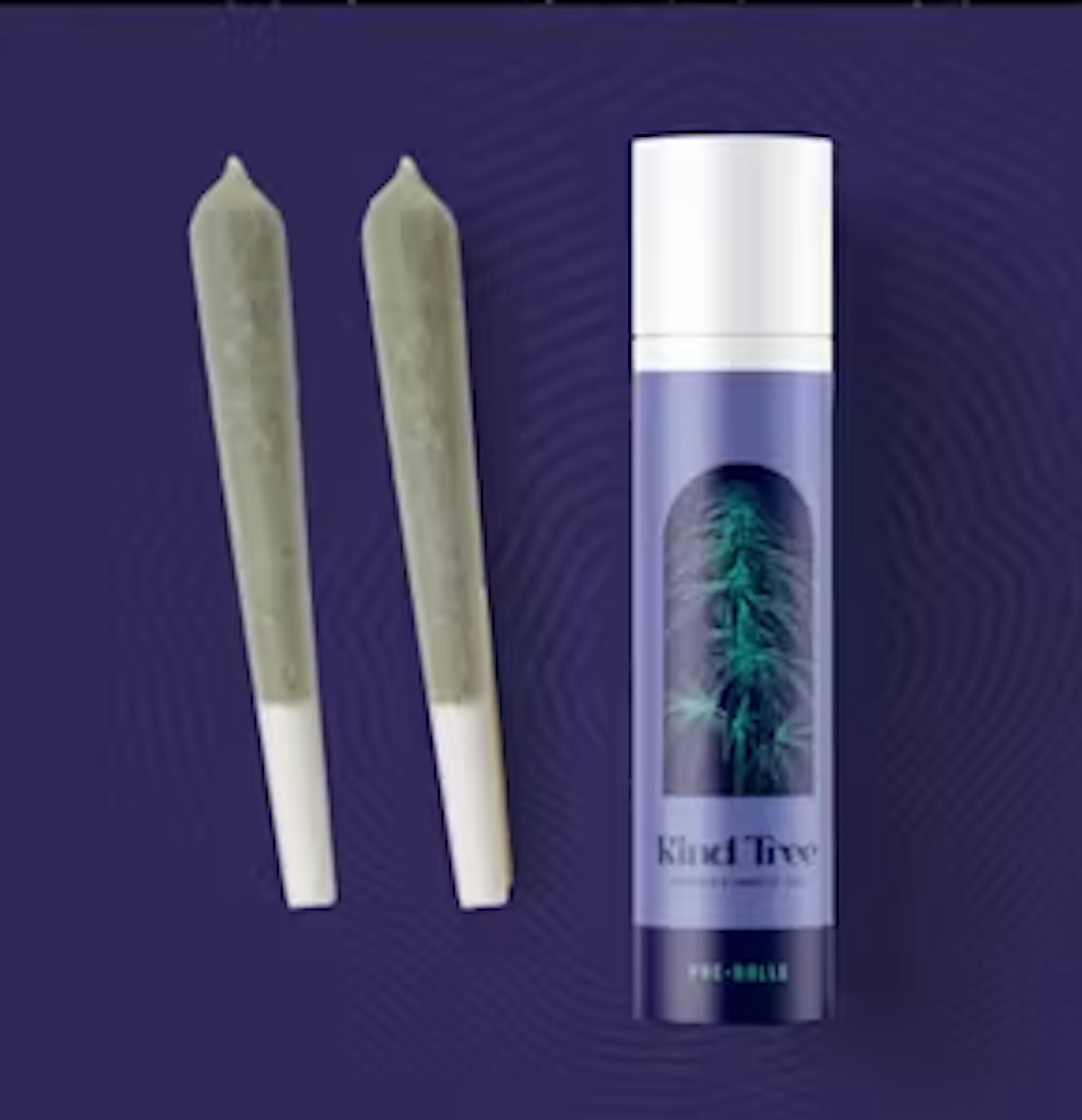 Image of JMO | 1G | 2PK