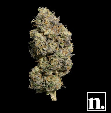 OISHII III | 1G | FLOWER