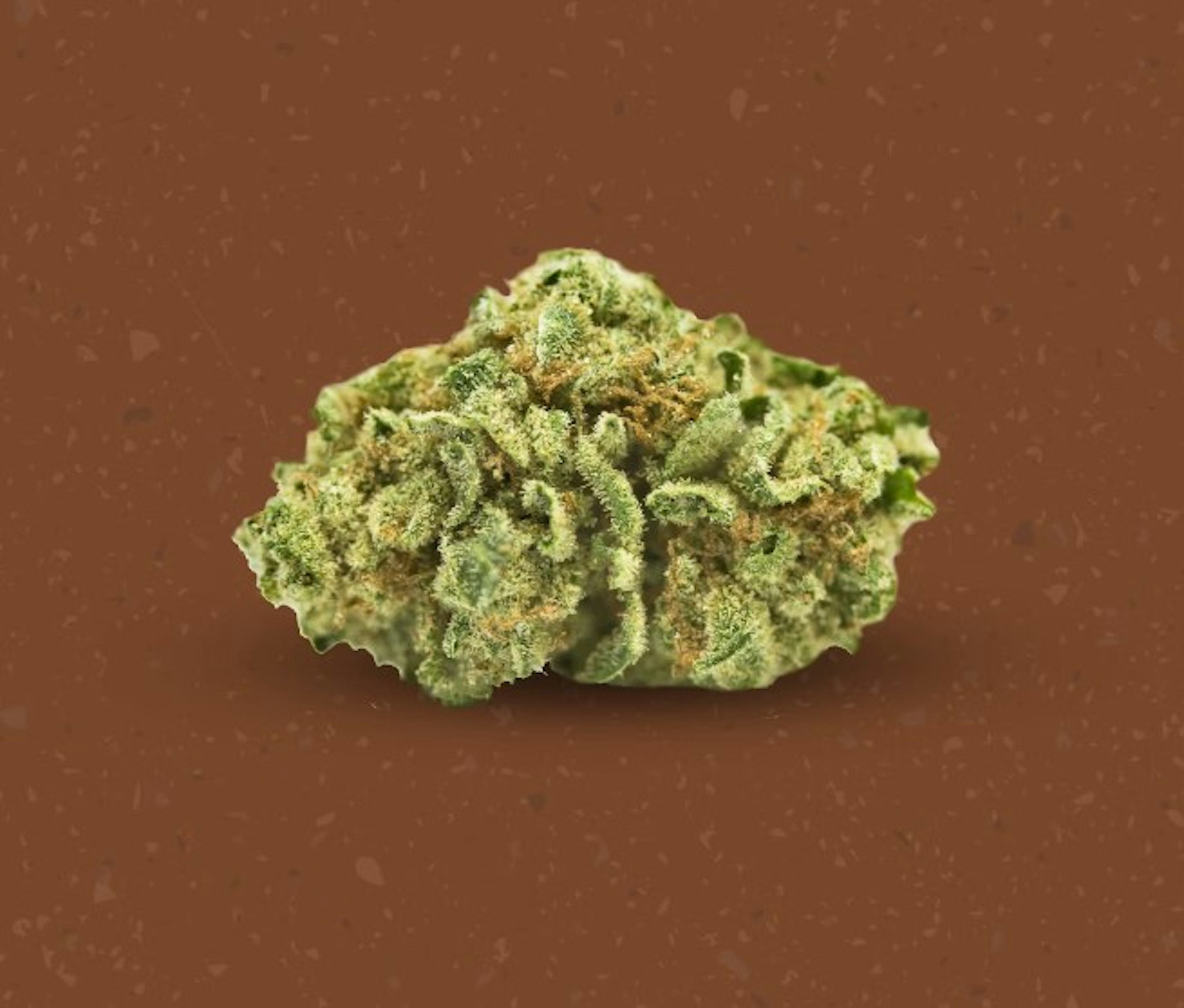 Image of BUTTERCUP | FLOWER | 1G