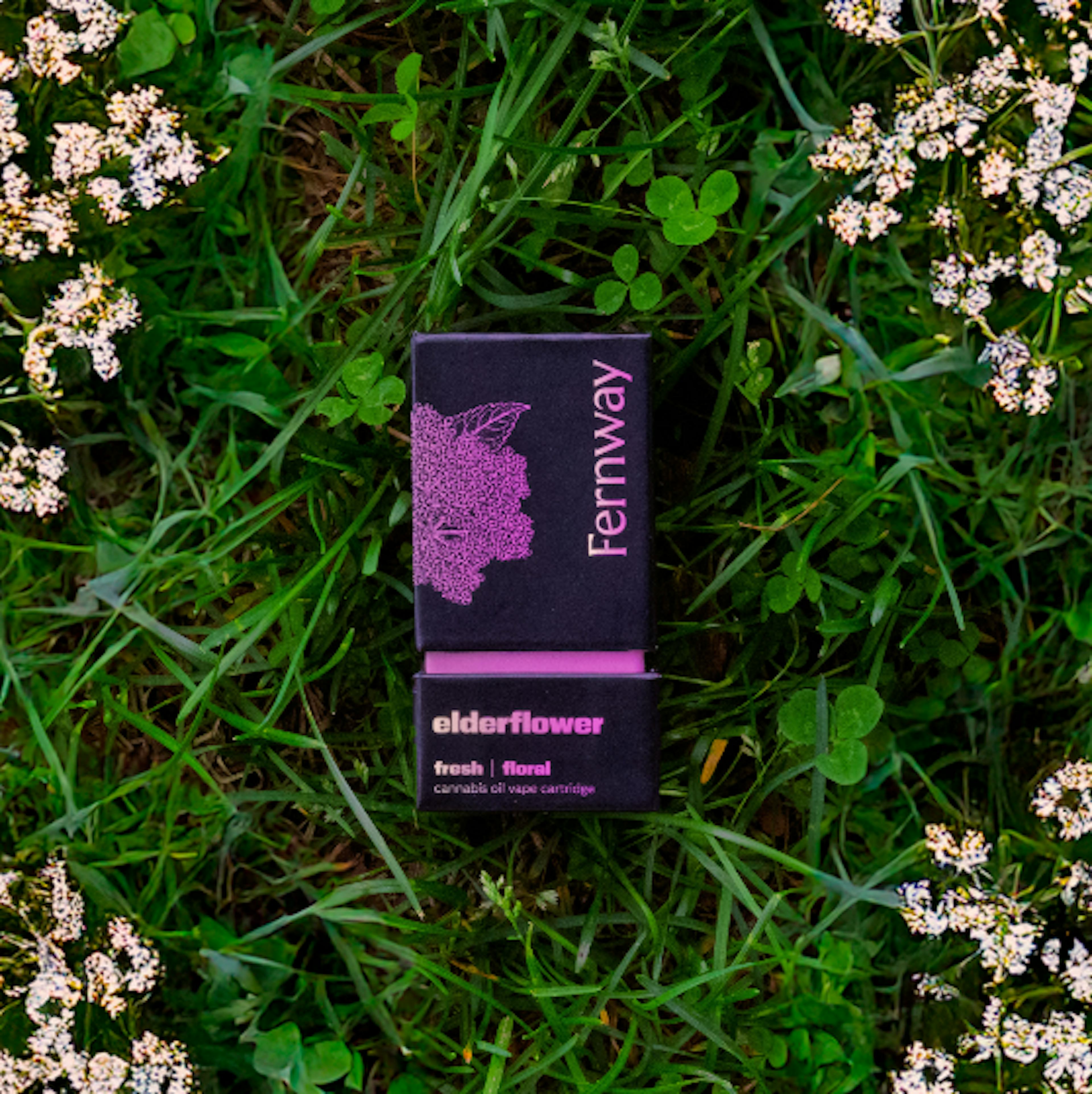 Image of ELDERFLOWER | 1G | CART