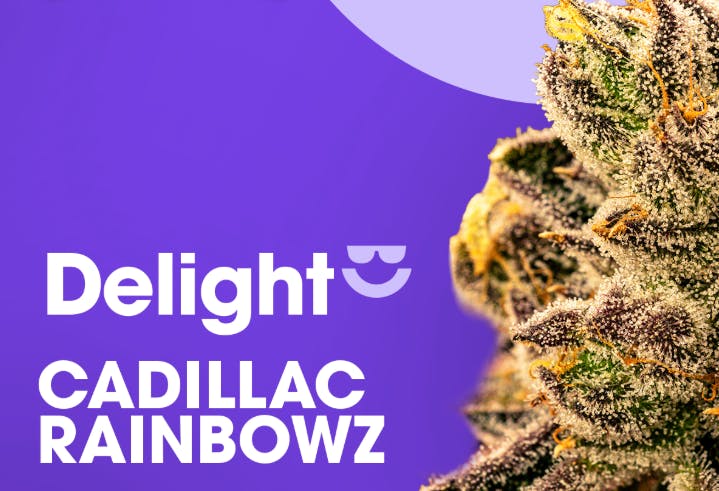 CADILLAC RAINBOWZ | 3.