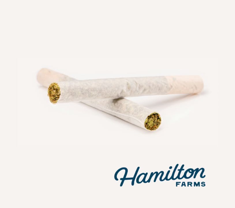 WIZARD BLIZZARD | 0.5G | 2PK PRE-ROLL