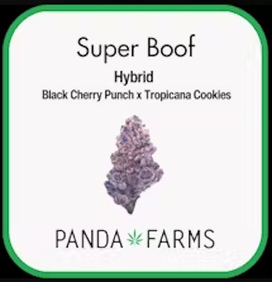 SUPER BOOF | 3.5G | FLOWER