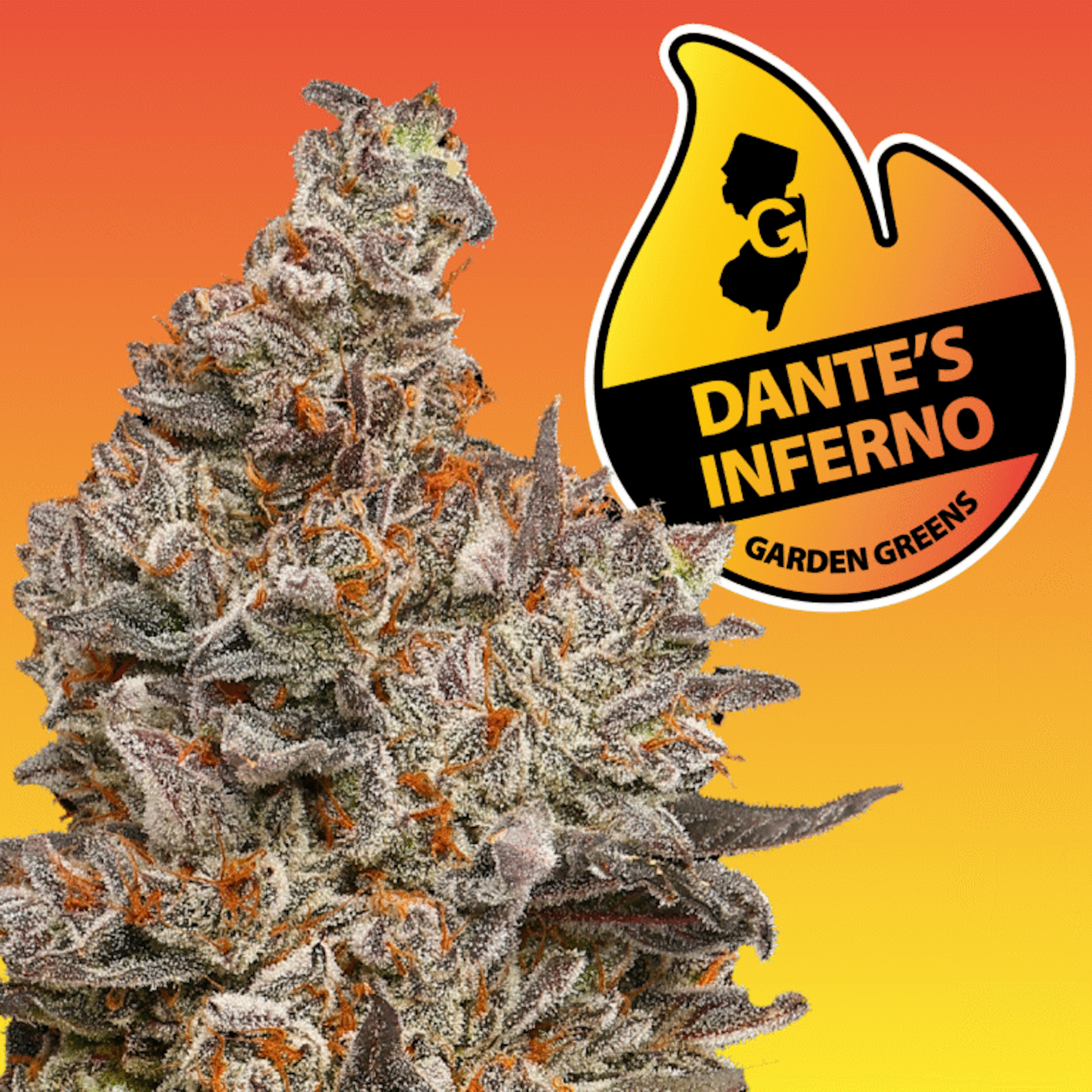 Image of DANTE'S INFERNO | 3.5G