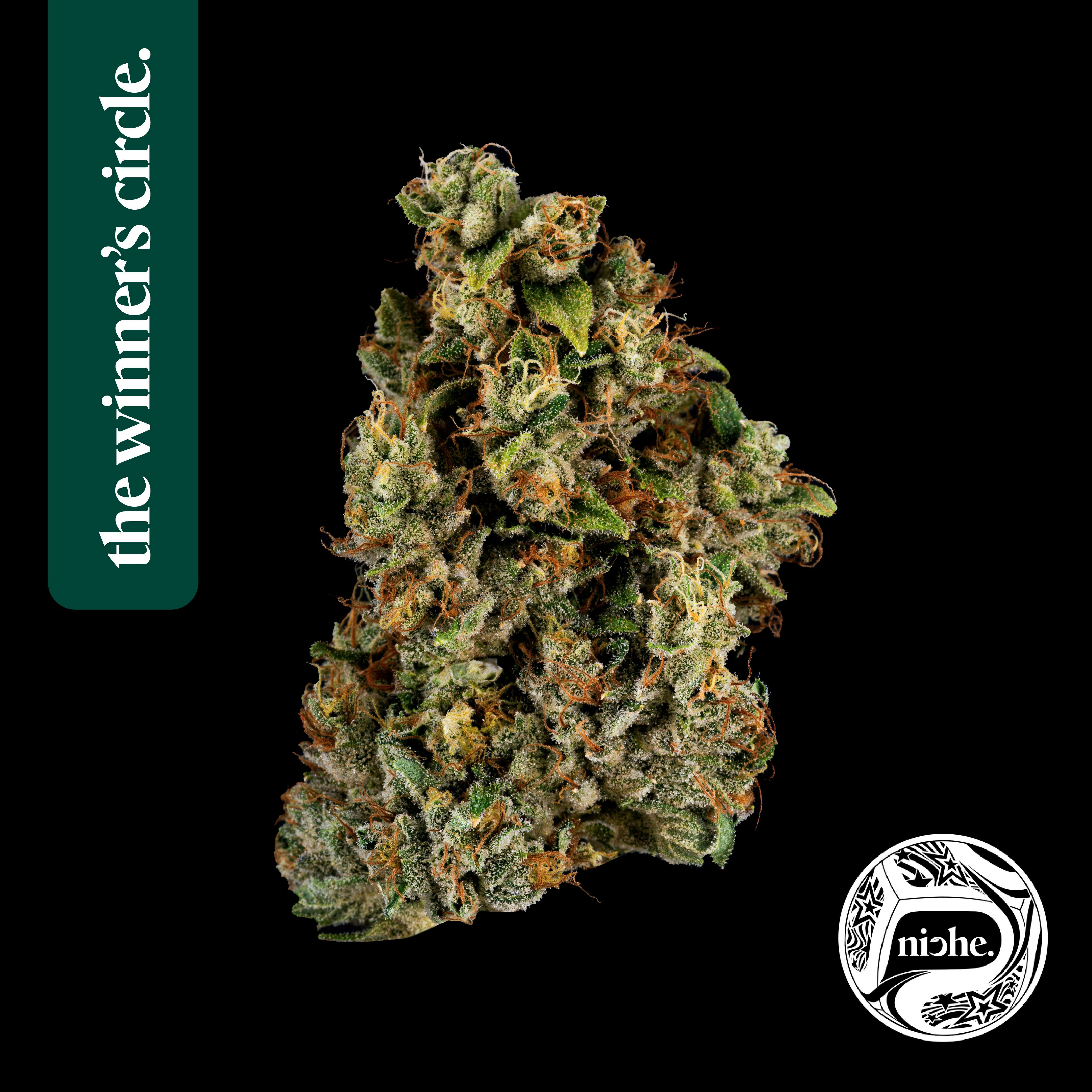 ALIEN OG | 3.5G - 3.5g | Flower | NICHE | SilverLeaf (Rec) | 1743
