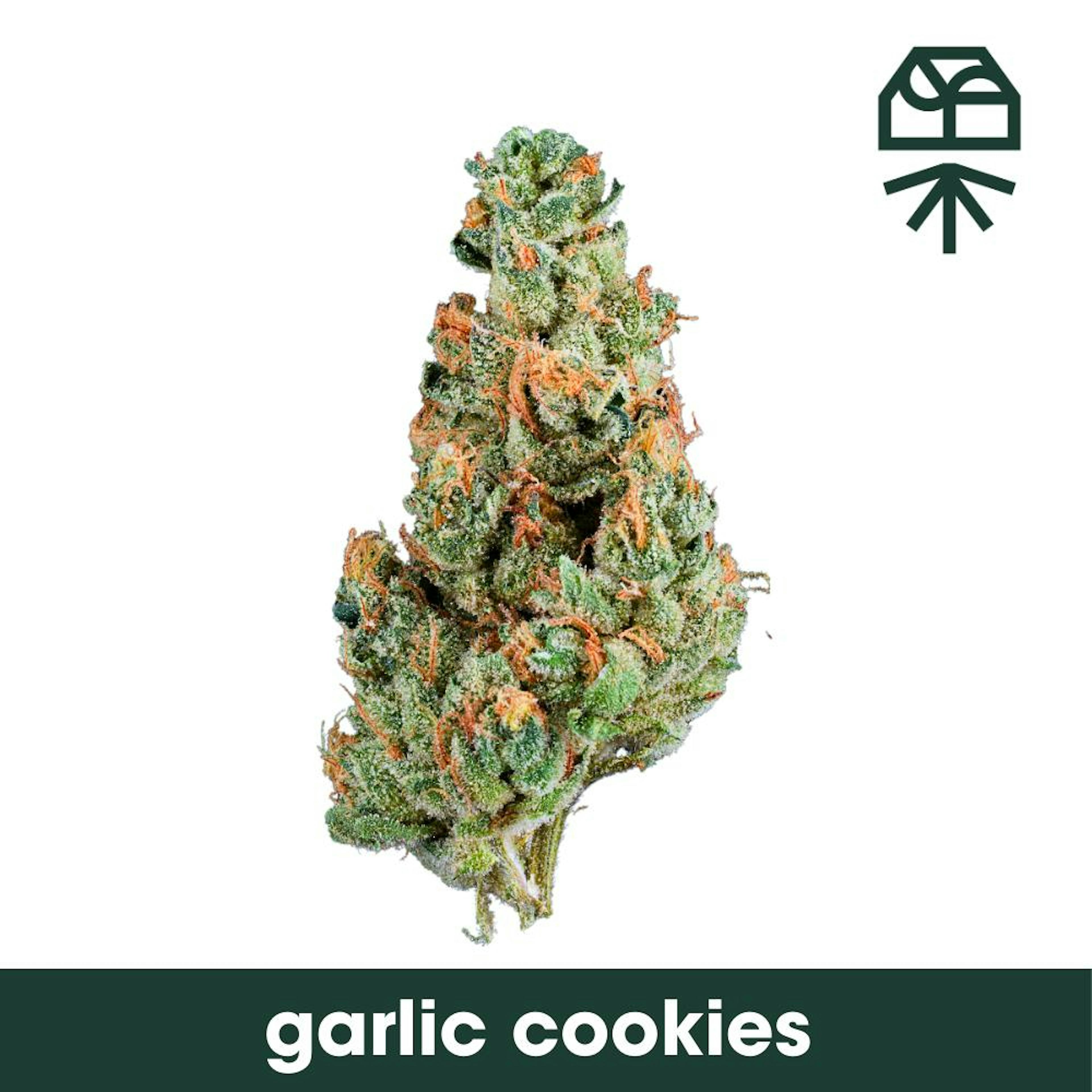 Image of GARLIC COOKIES | 7G POPCORN