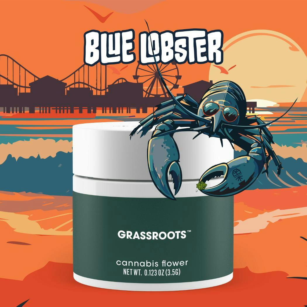 BLUE LOBSTER | 3.5G | FLOWER - 3.5g | Flower | GRASSROOTS