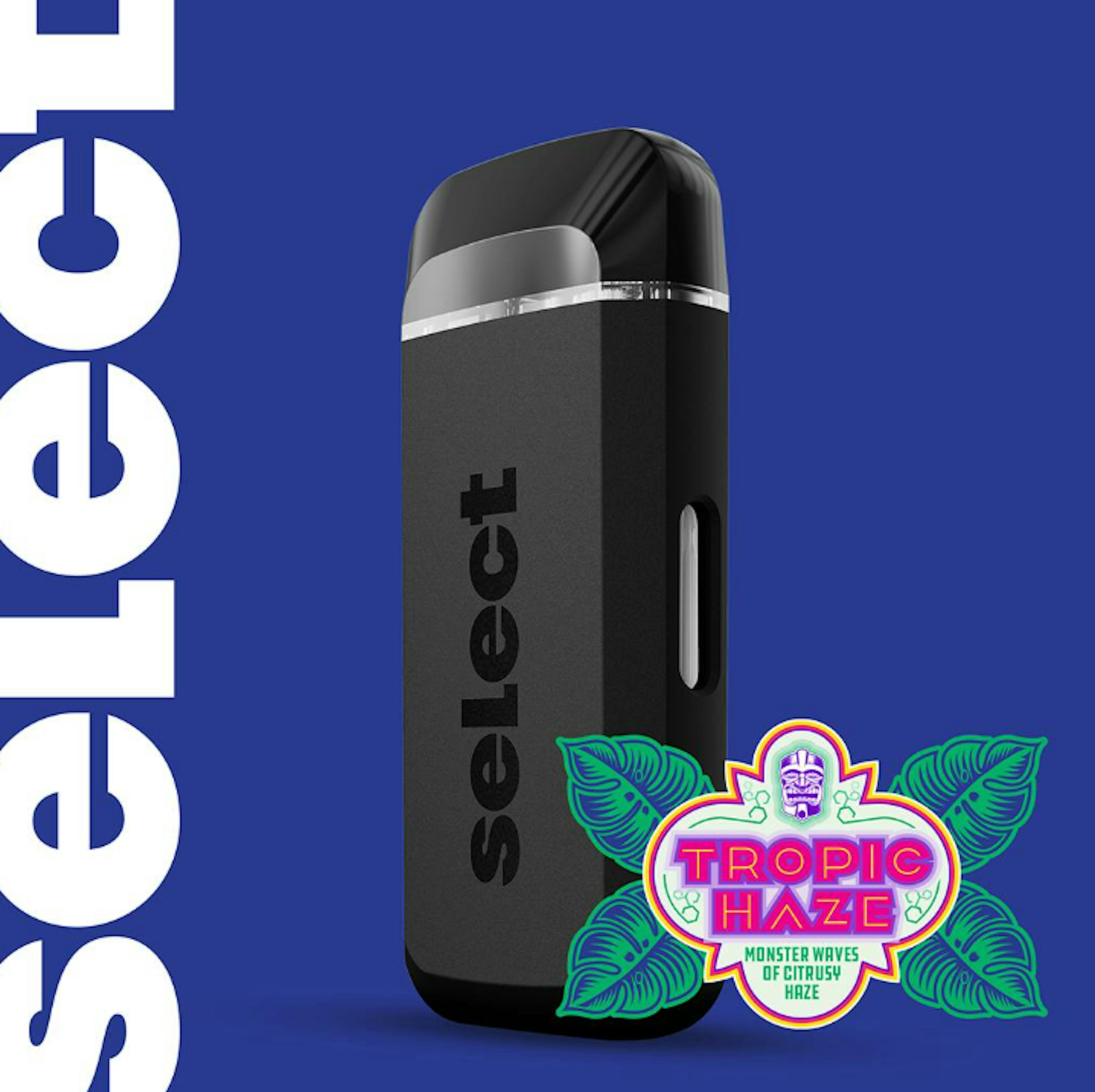 Image of TROPIC HAZE | ELITE TERPOLOGIST | BRIQ | 2G