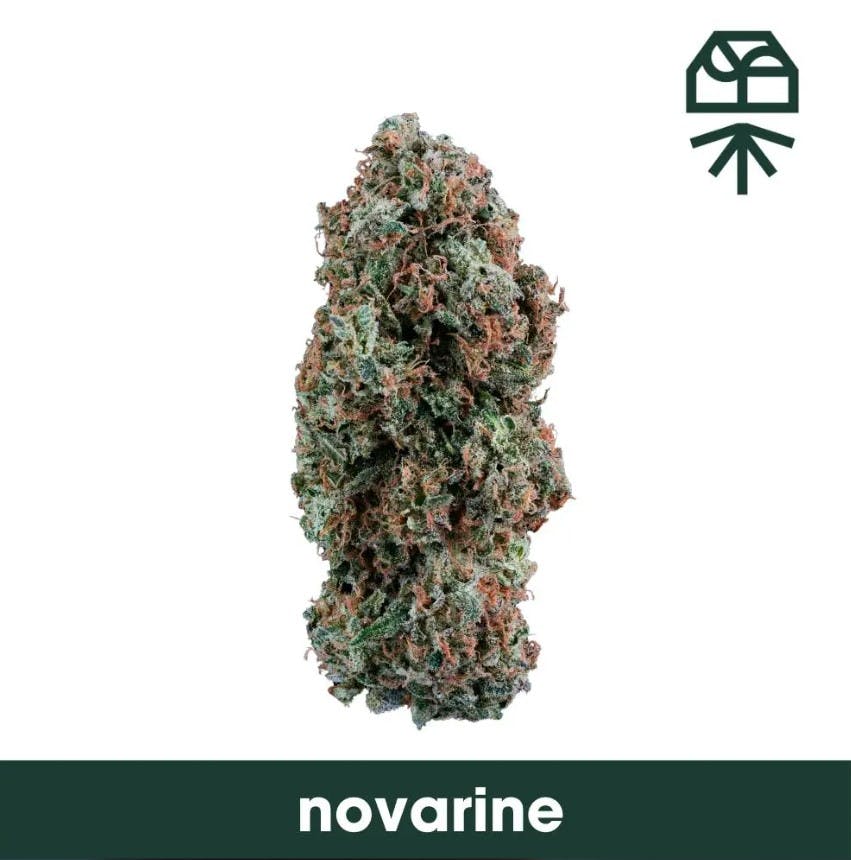 NOVARINE | SMALLS | 7G - 7g | Flower | GRASSROOTS | SilverLeaf