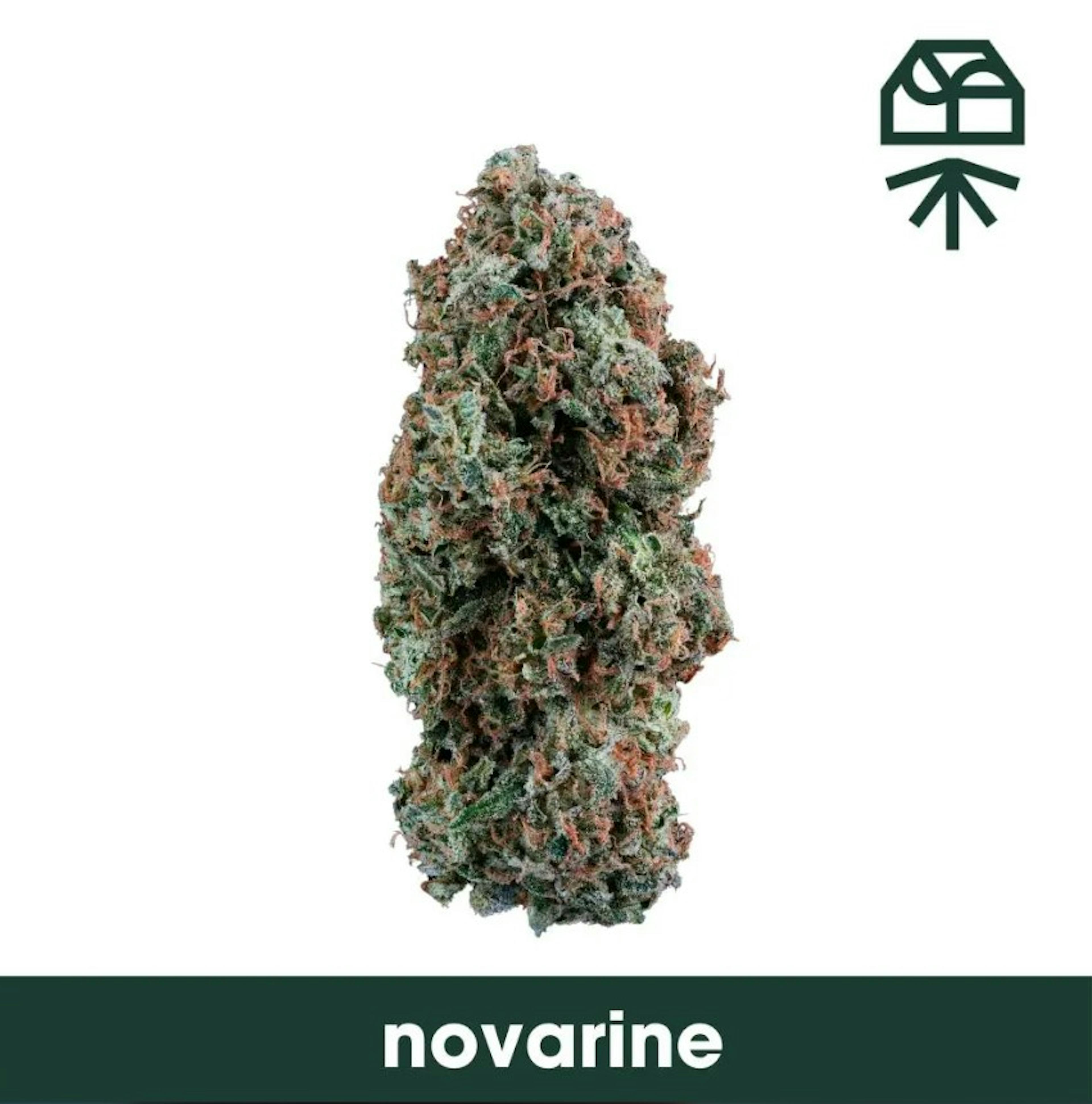 Image of NOVARINE | SMALLS | 7G