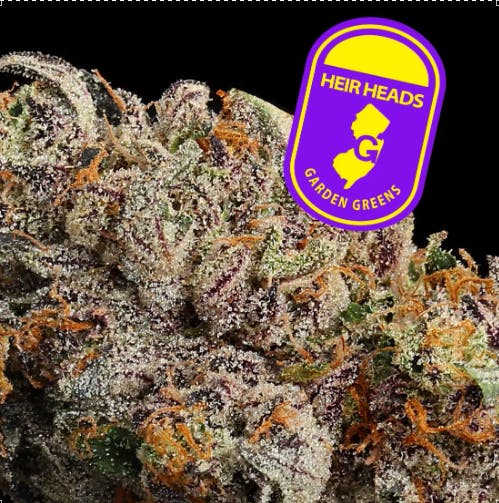HEIR HEADS | BIG BUDS | 7G - 7g | Flower | GARDEN GREENS