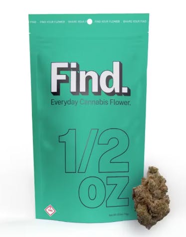 PURPLE CARNIVAL |  | MIXED BUDS