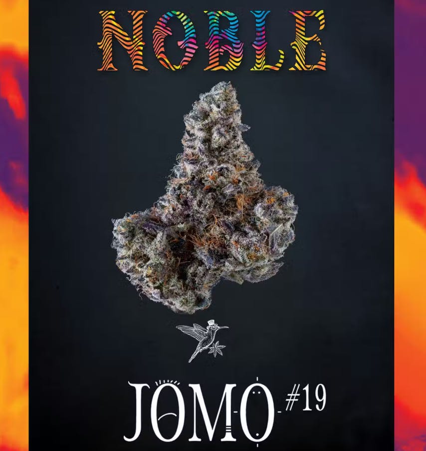 JOMO # 19 | 7G