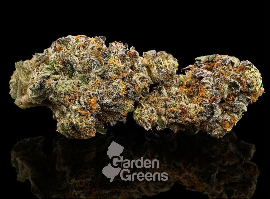 4*2様 weed BD-2 WBD104B #003 BD Universal Viral Transport Kit