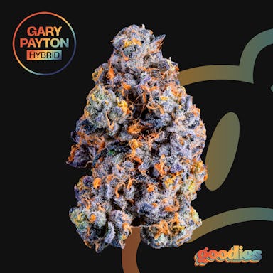 GARY PAYTON | 7G | GOODIES