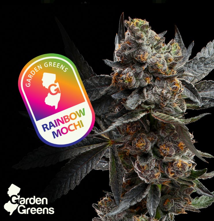 RAINBOW MOCHI | 3.5G - 3.5g | Flower | GARDEN GREENS | SilverLeaf