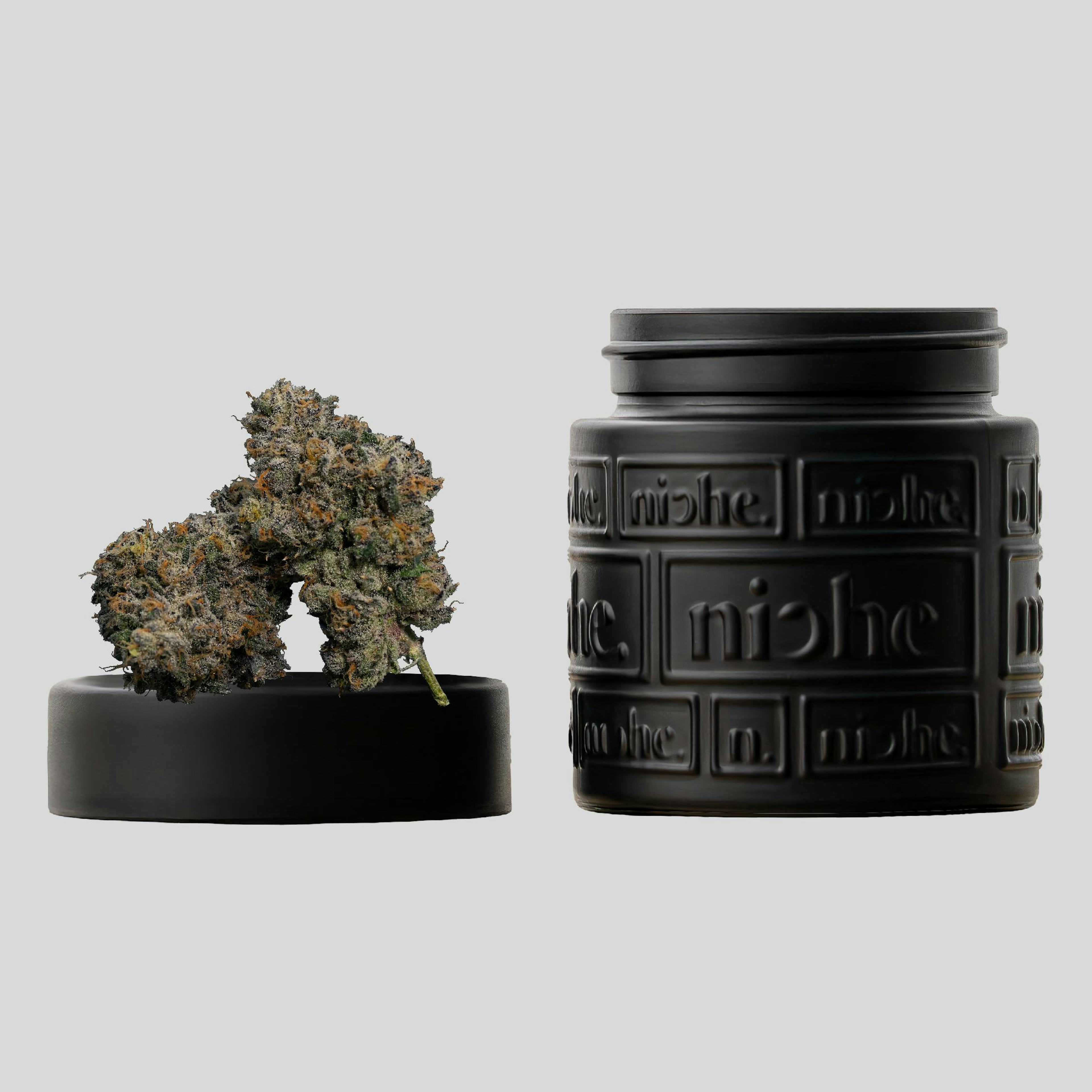 Image of PINK INK | 3.5G